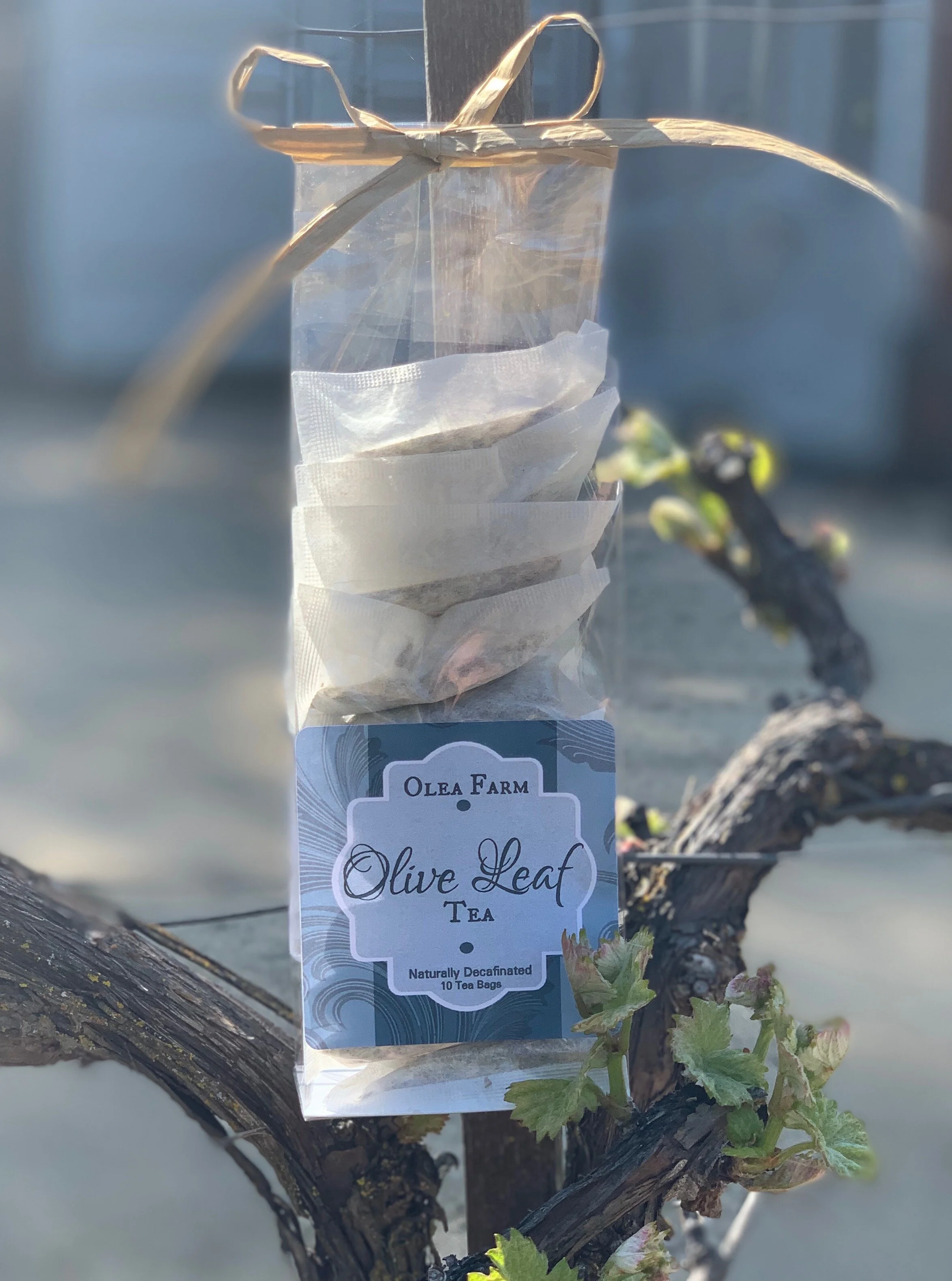 A5F8D704-8A51-429E-AECC-18BB3ACD6B1E