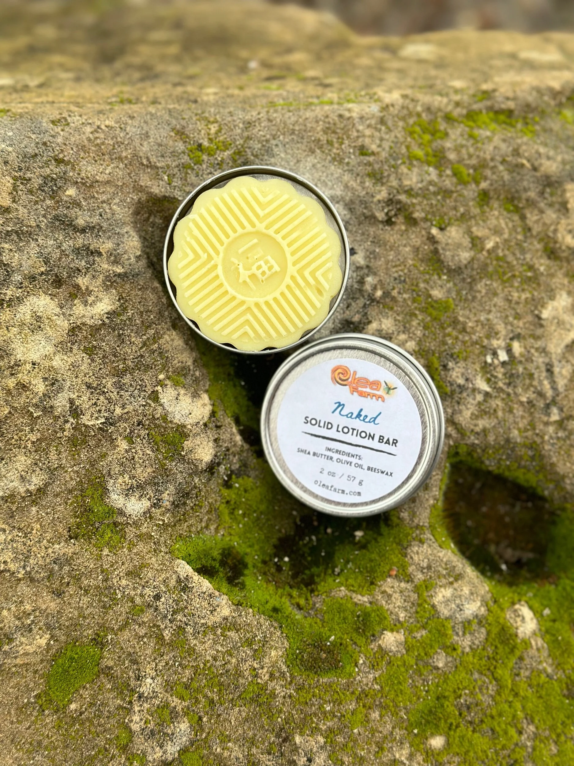 DD79F81A-6098-45D8-AD40-EE4D5980DBBB