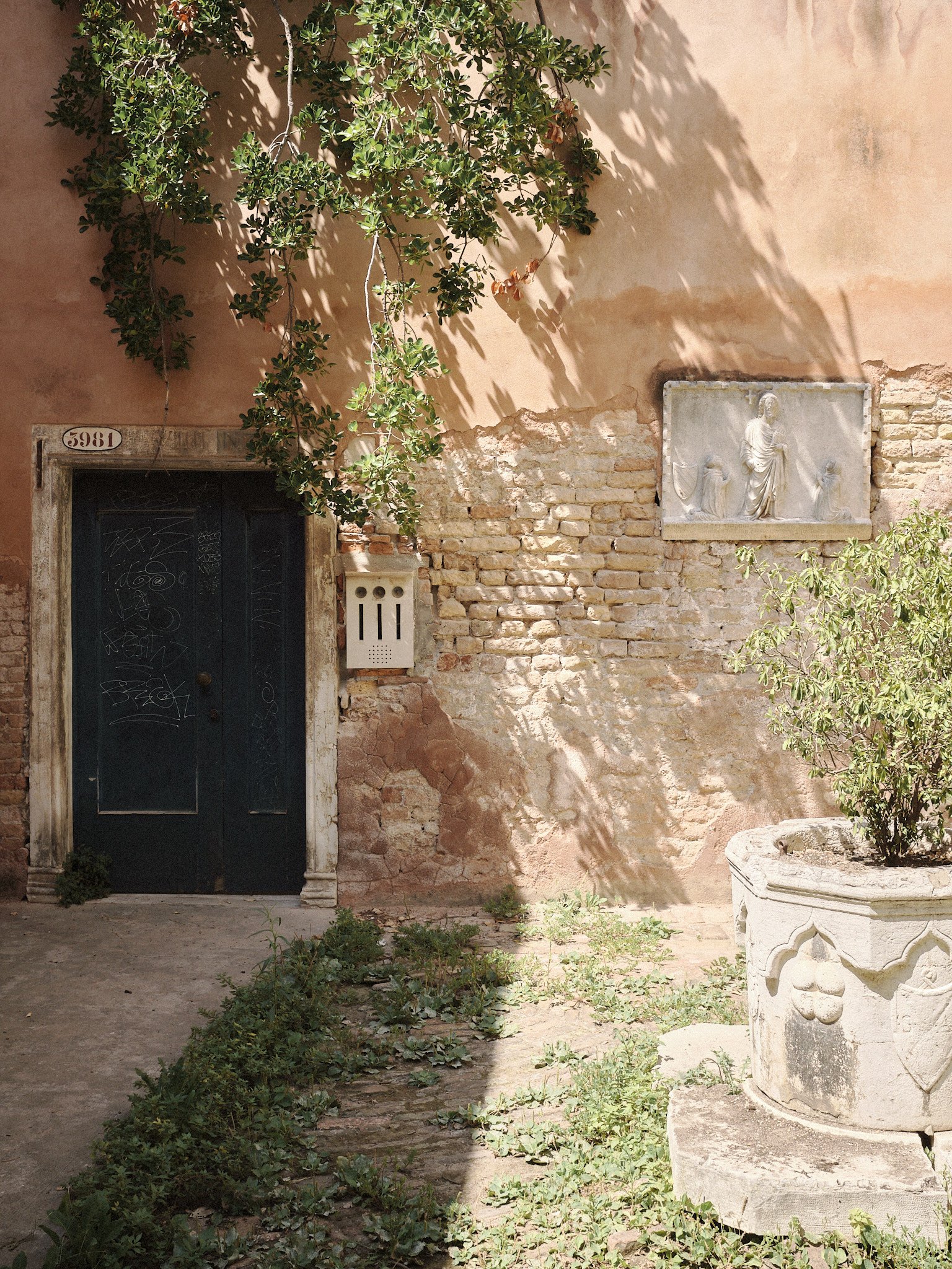 DSCF9529.jpg