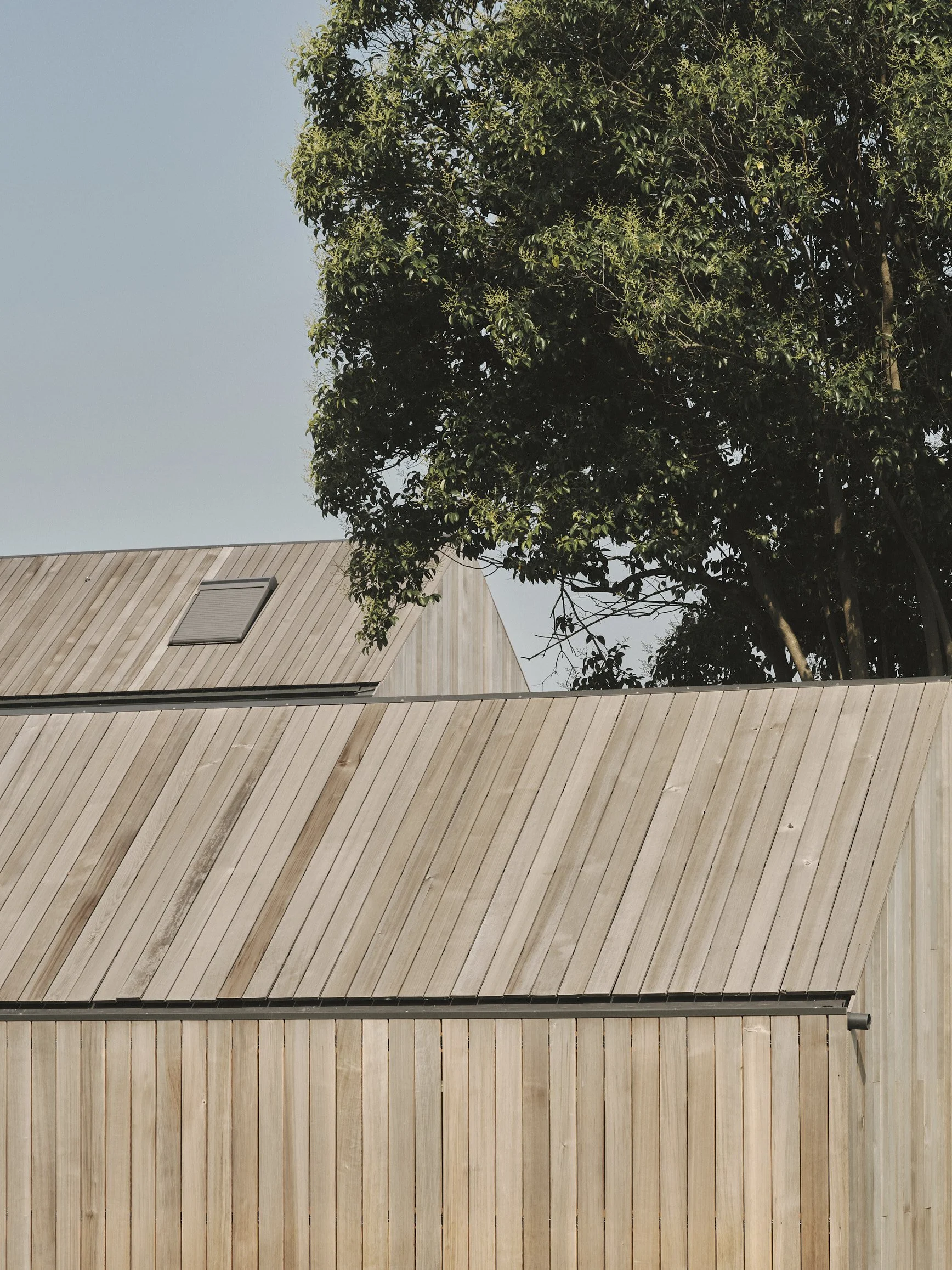 20_TreeHouse_Piraccini+Potente_©FrancescoMontaguti.jpg