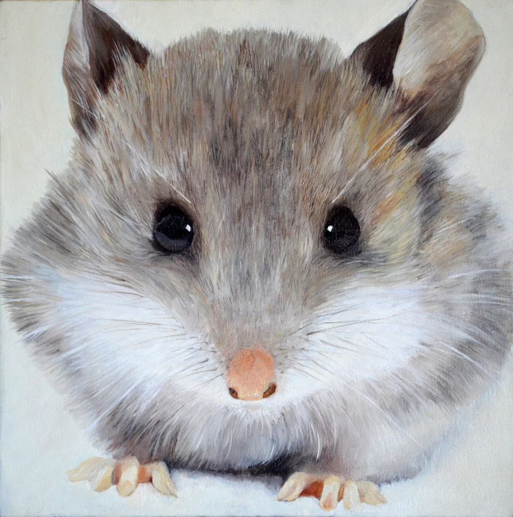 Mouse