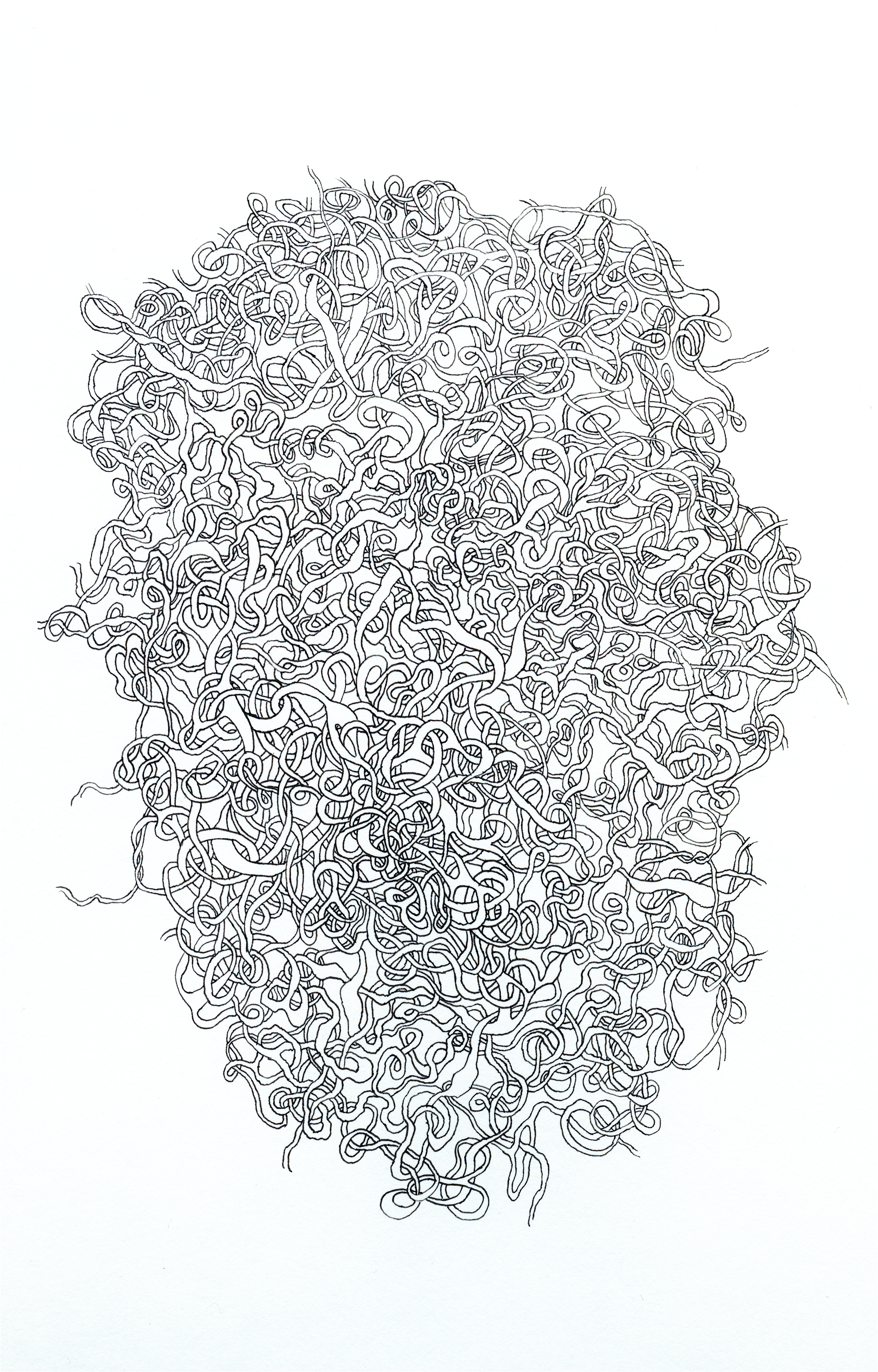 Beehive pen and ink on paper 14 x 11 in.