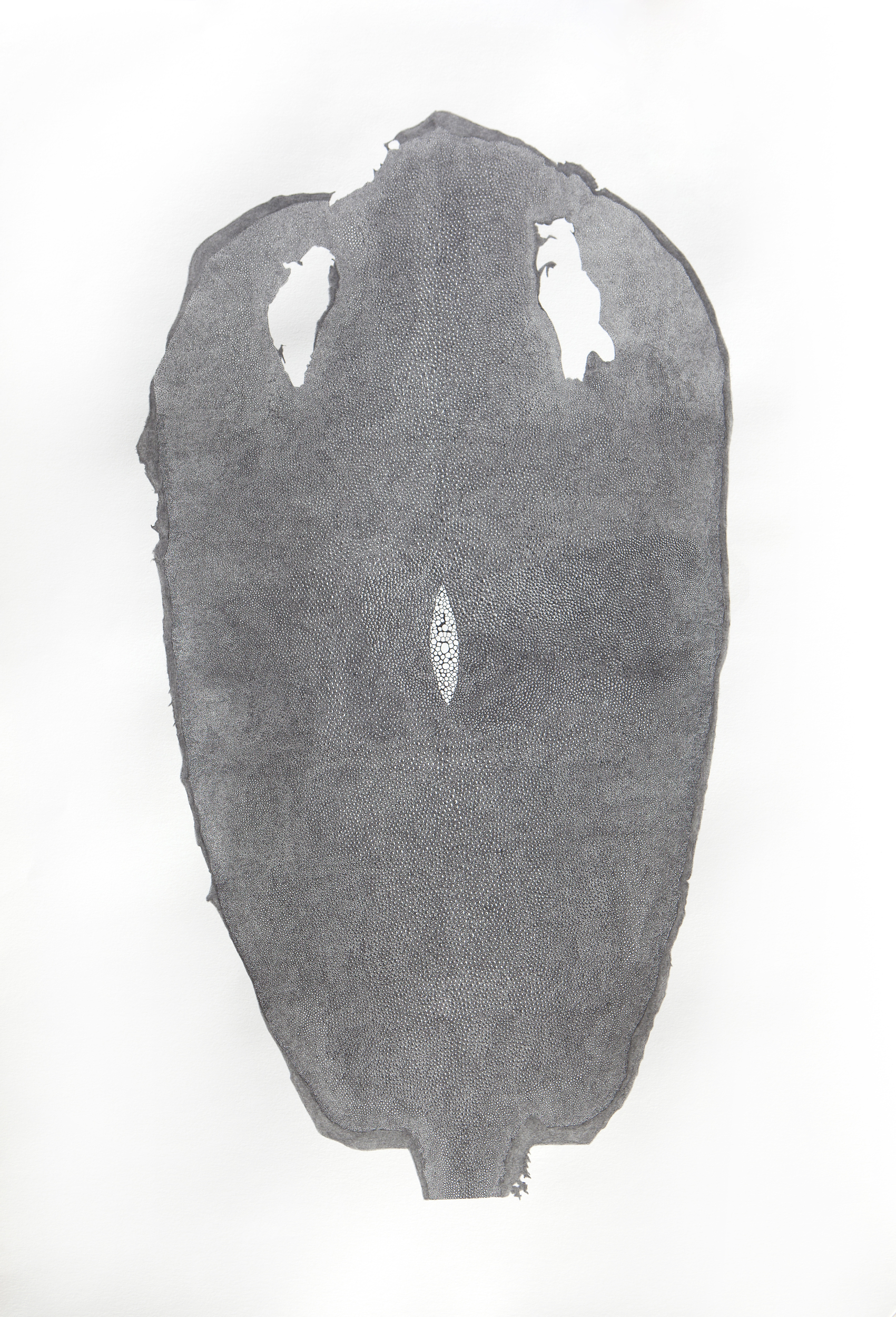   Custom Stingray High Top Chucks   2016  Graphite on Paper  26" x 38" 