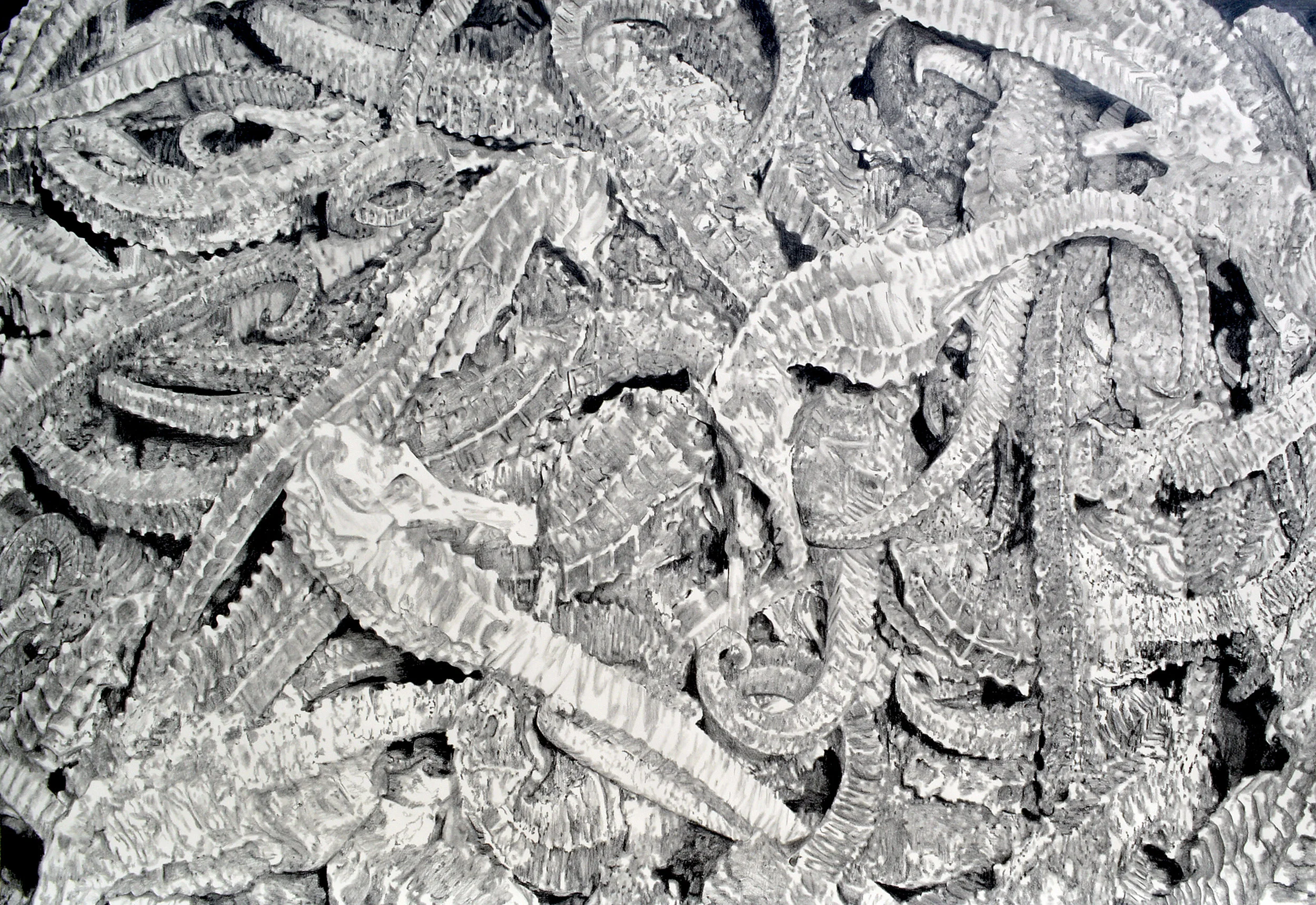   Cosmetic Botox Injections   2016  Graphite on Paper  52” x 38” 