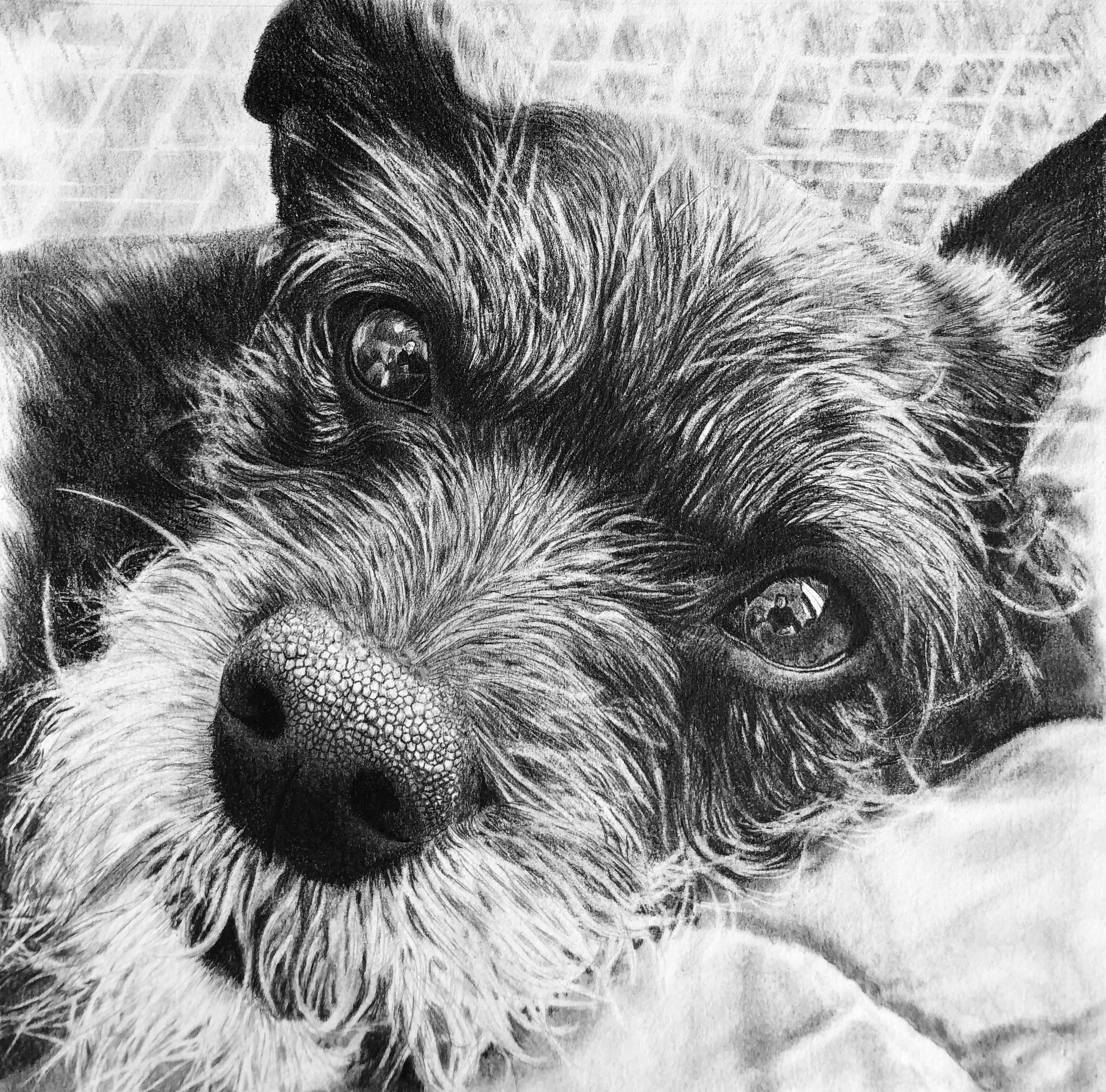 Sookie