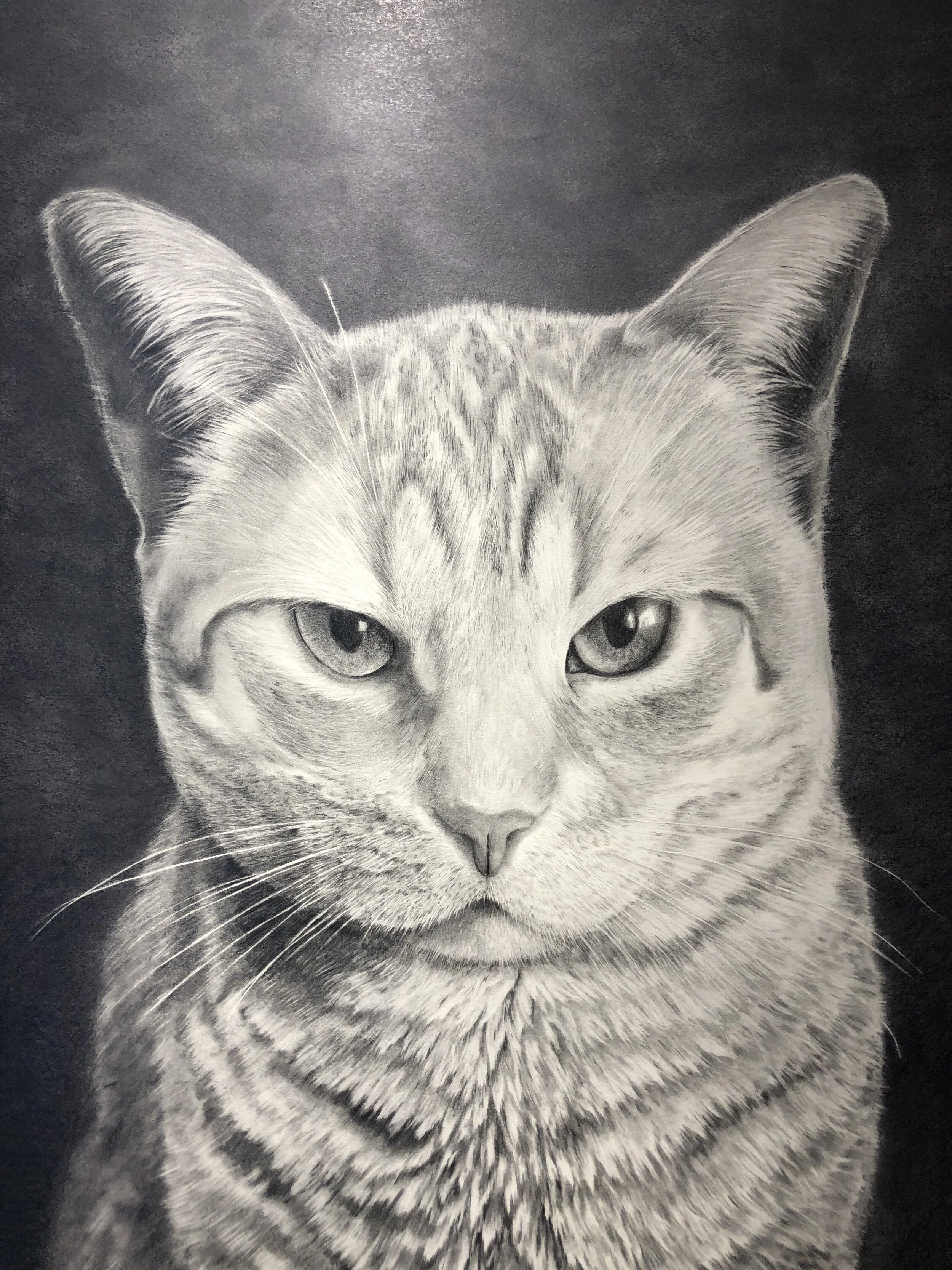   Otis   Graphite  2020 