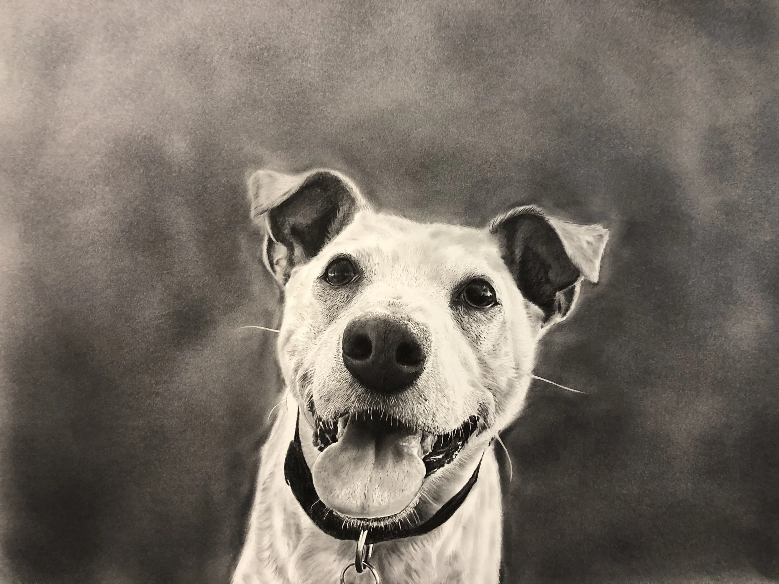   Sandwich   Graphite on Paper  12” x 14”  2019 