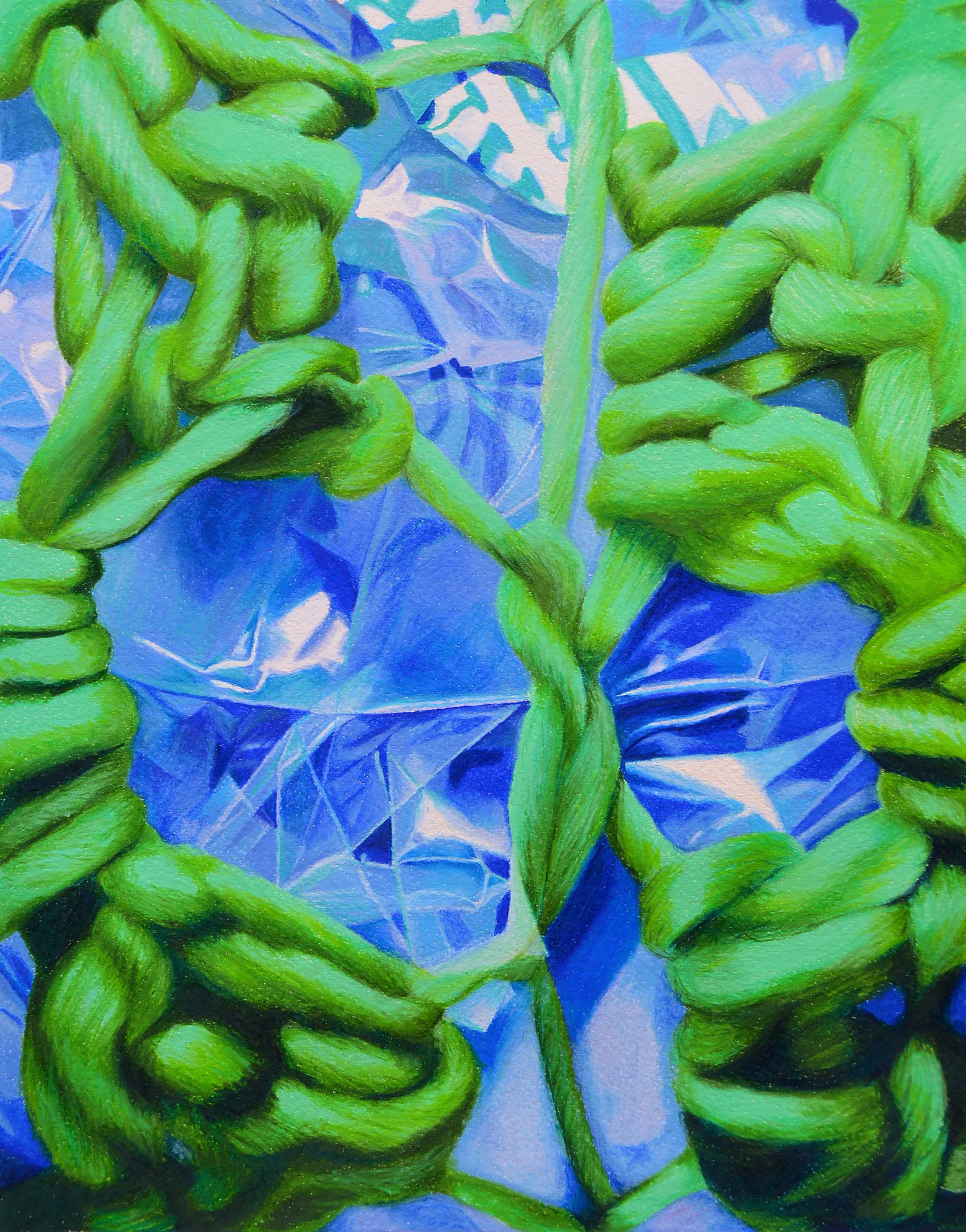  “Entangled Permanence”  11” x 17”  Colored Pencil on Paper  2022 