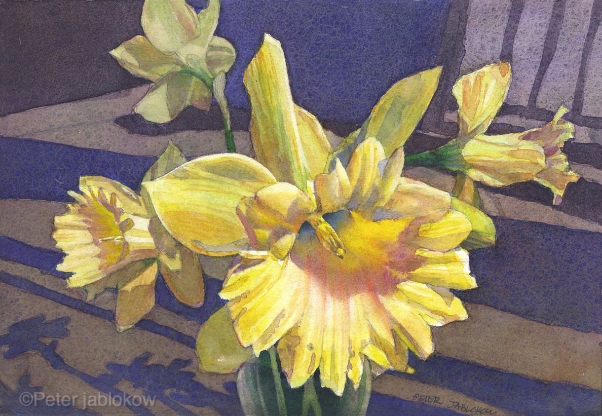 Aggressive Daffodil