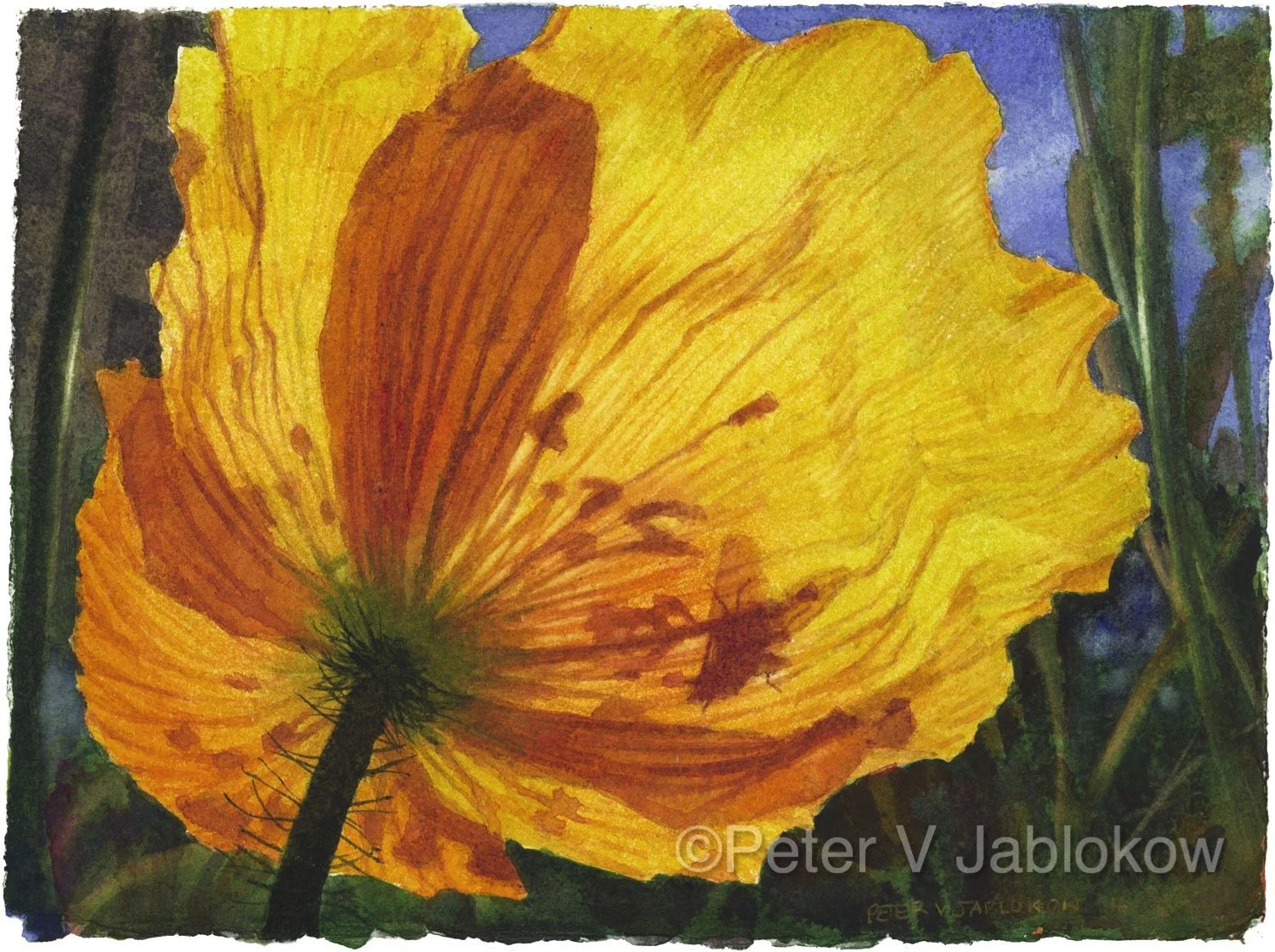poppy-and-fly-final-peterillustrator.com-1.jpg