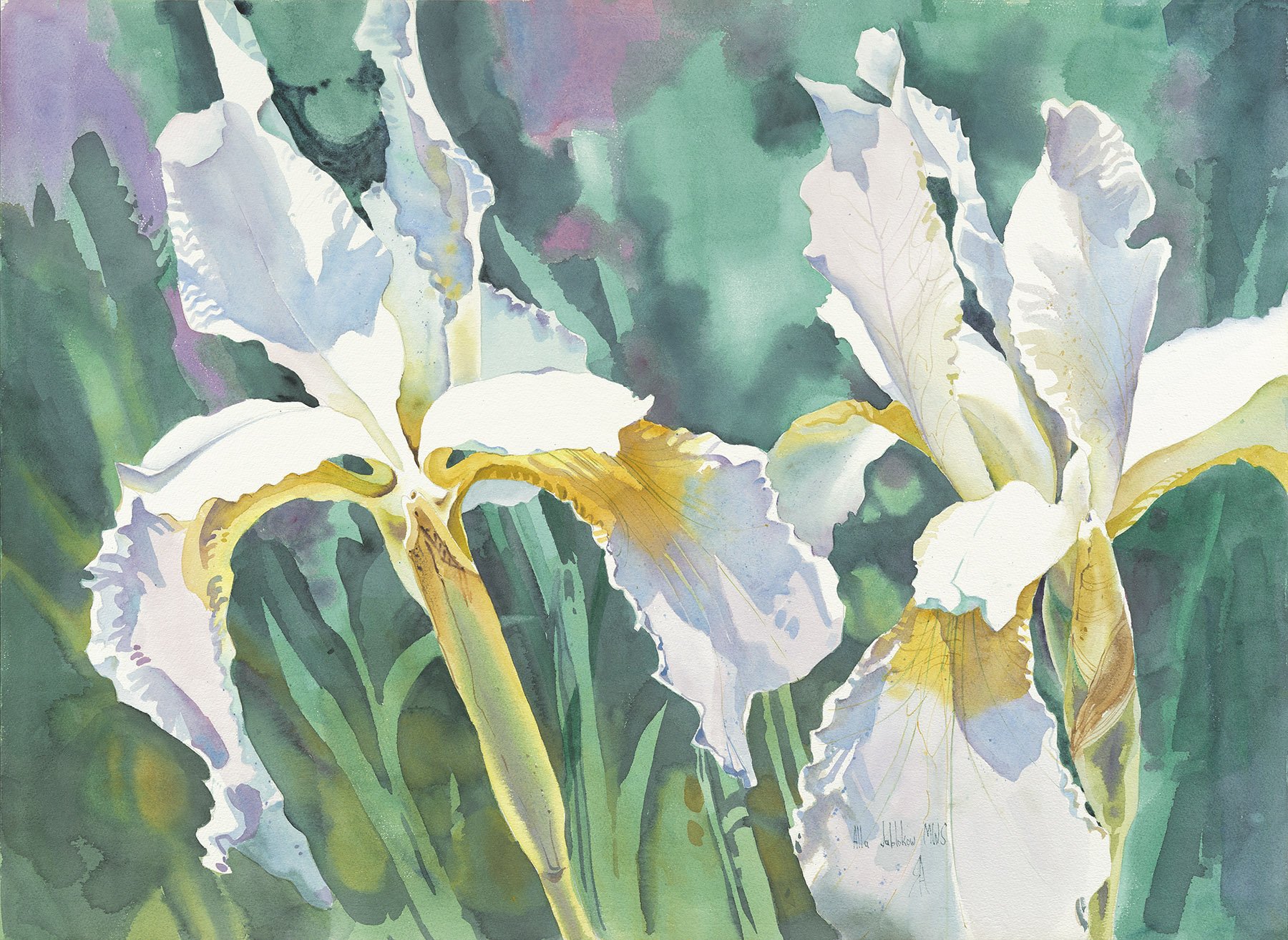 Two Irises 1-043