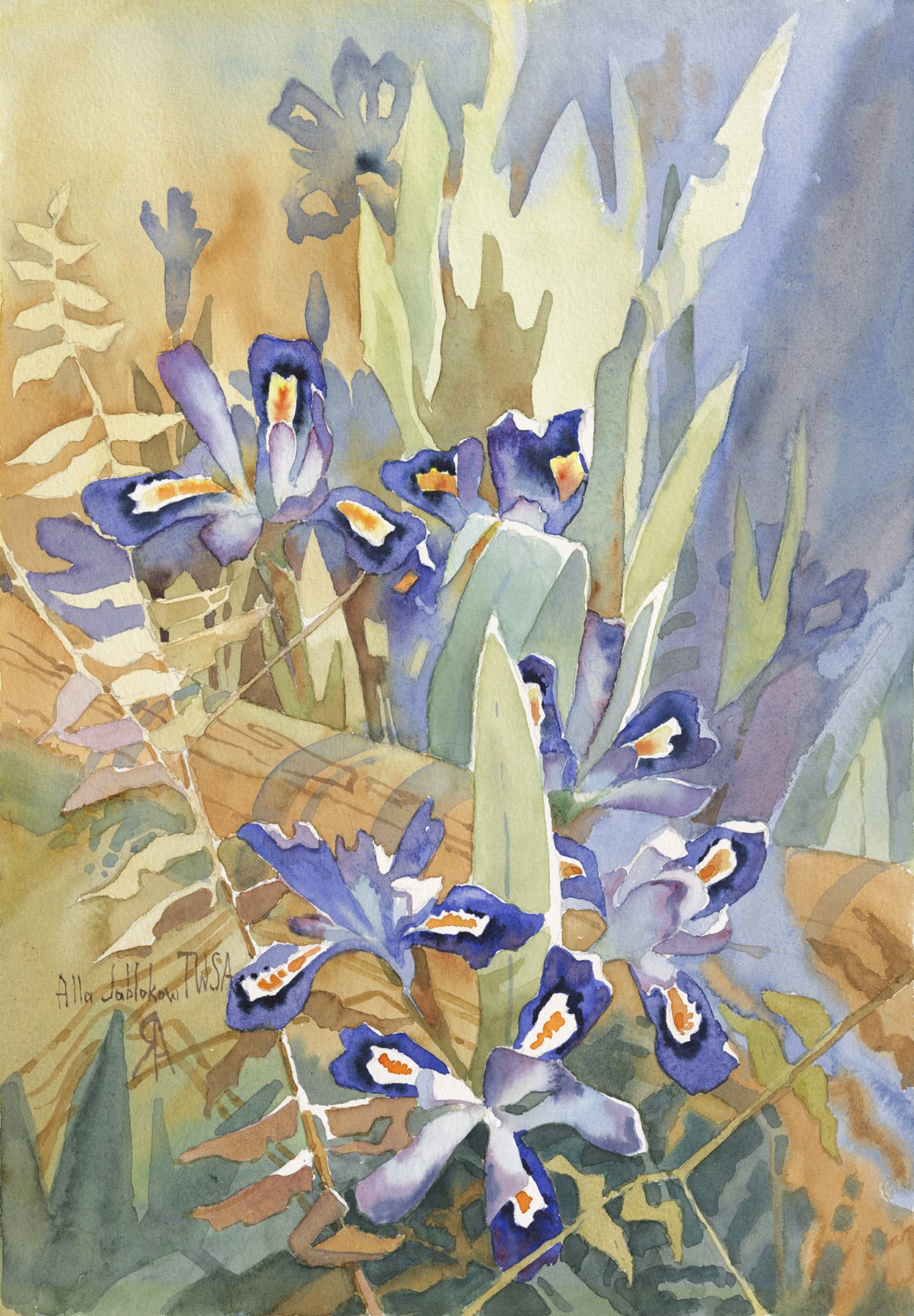 Dwarf Iris (Nina)