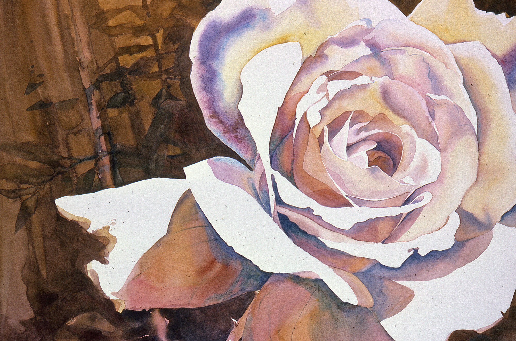 One Peace Rose 1-022