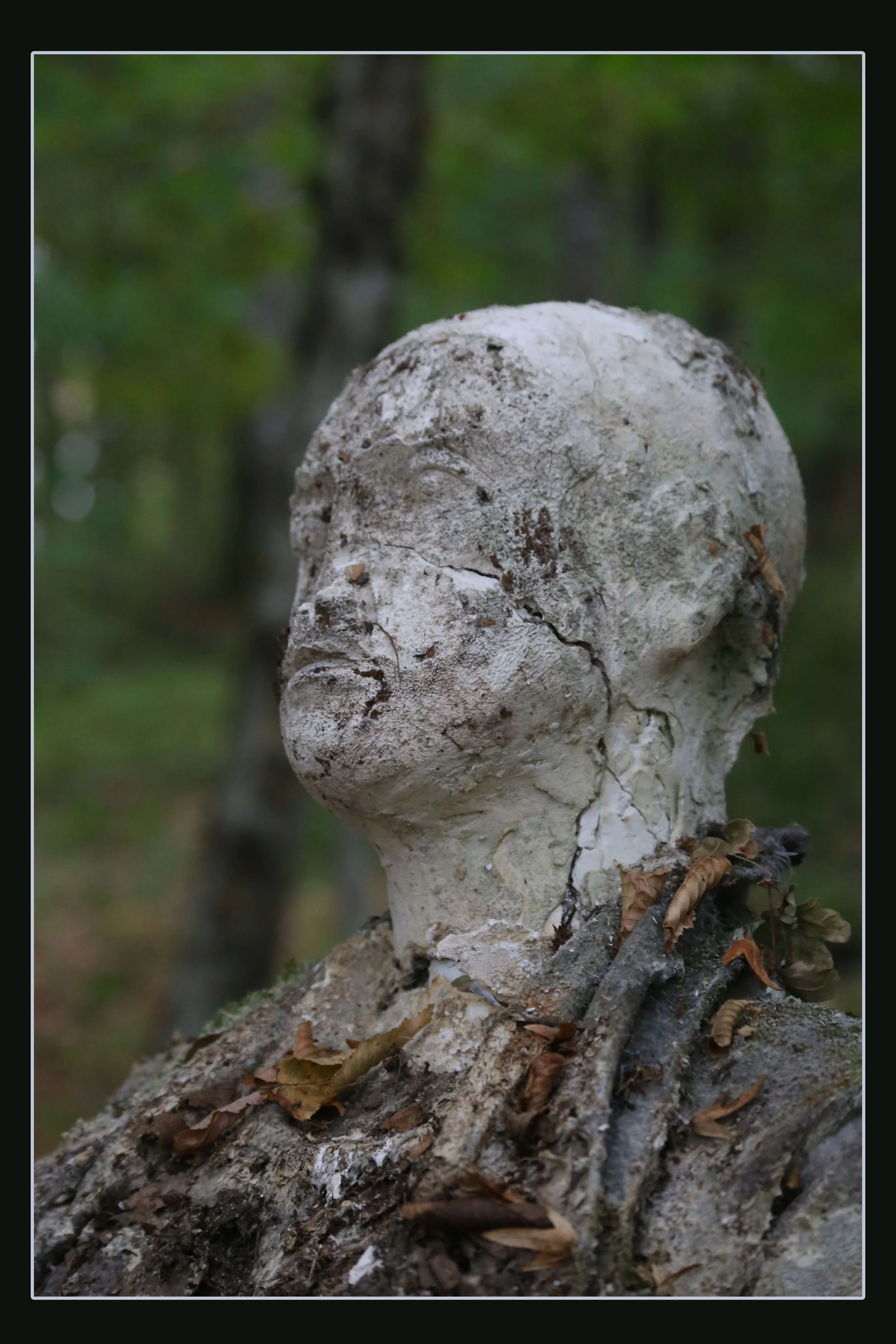 Plaster Face