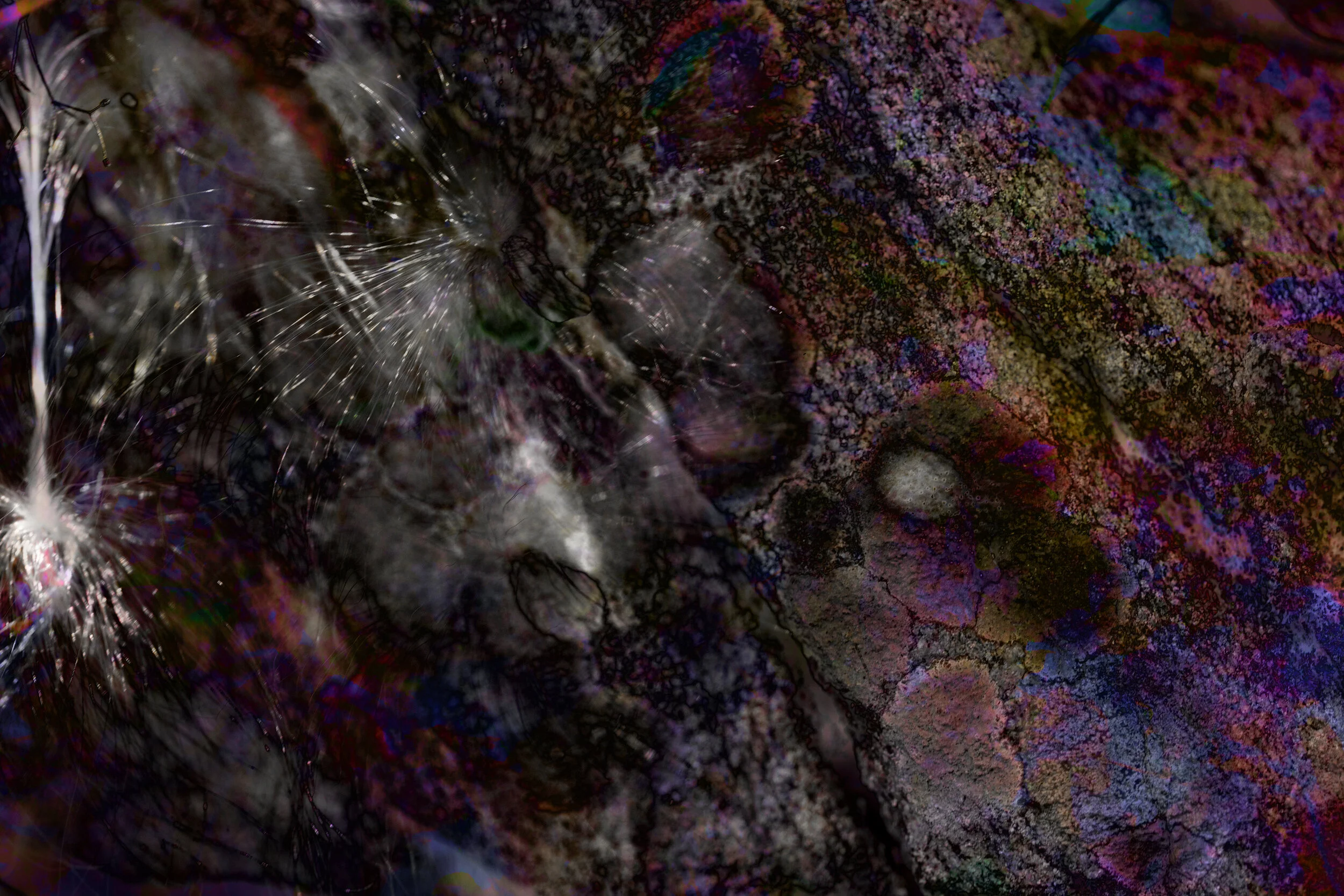 Minerality