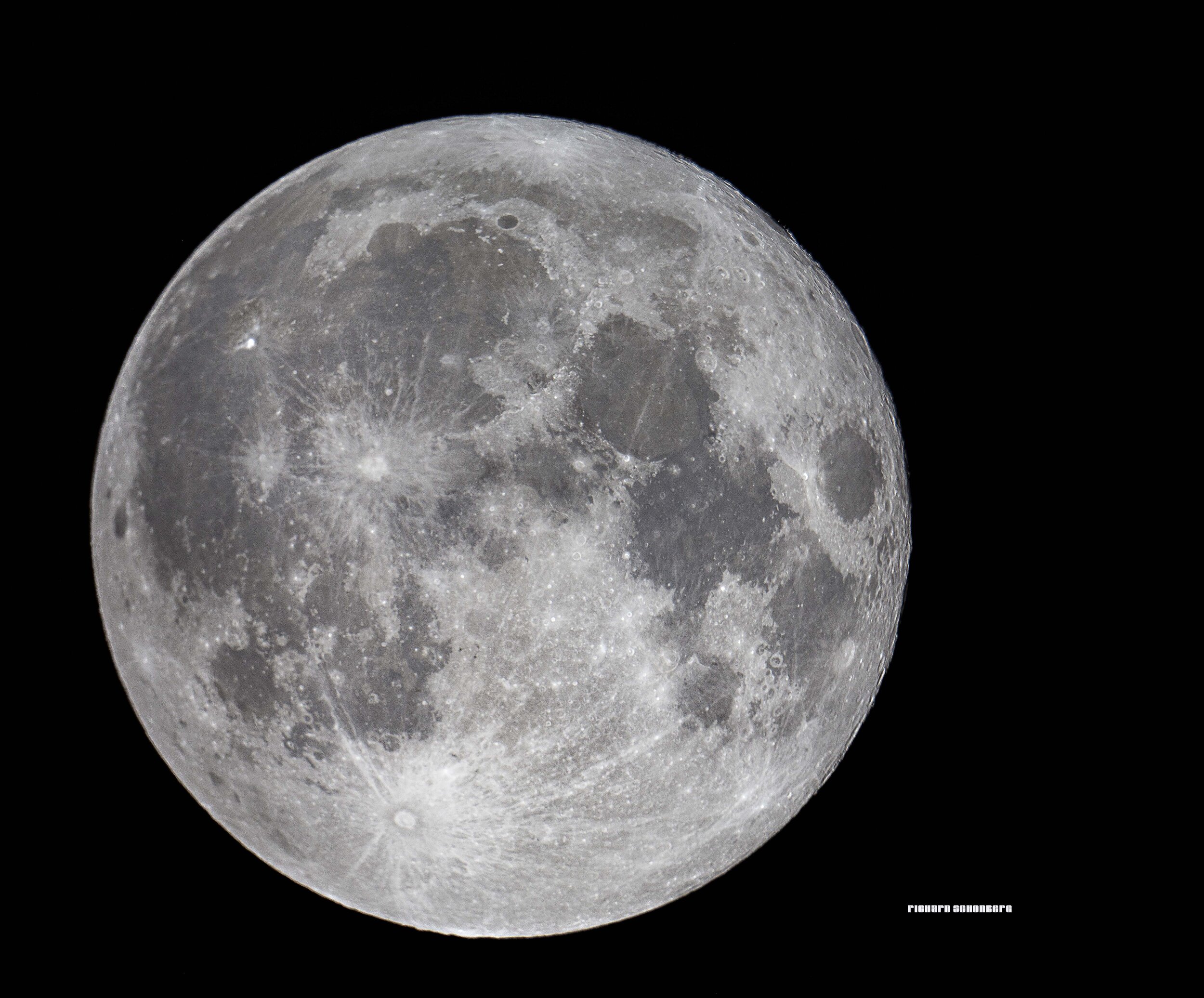 Halloween Blue Moon