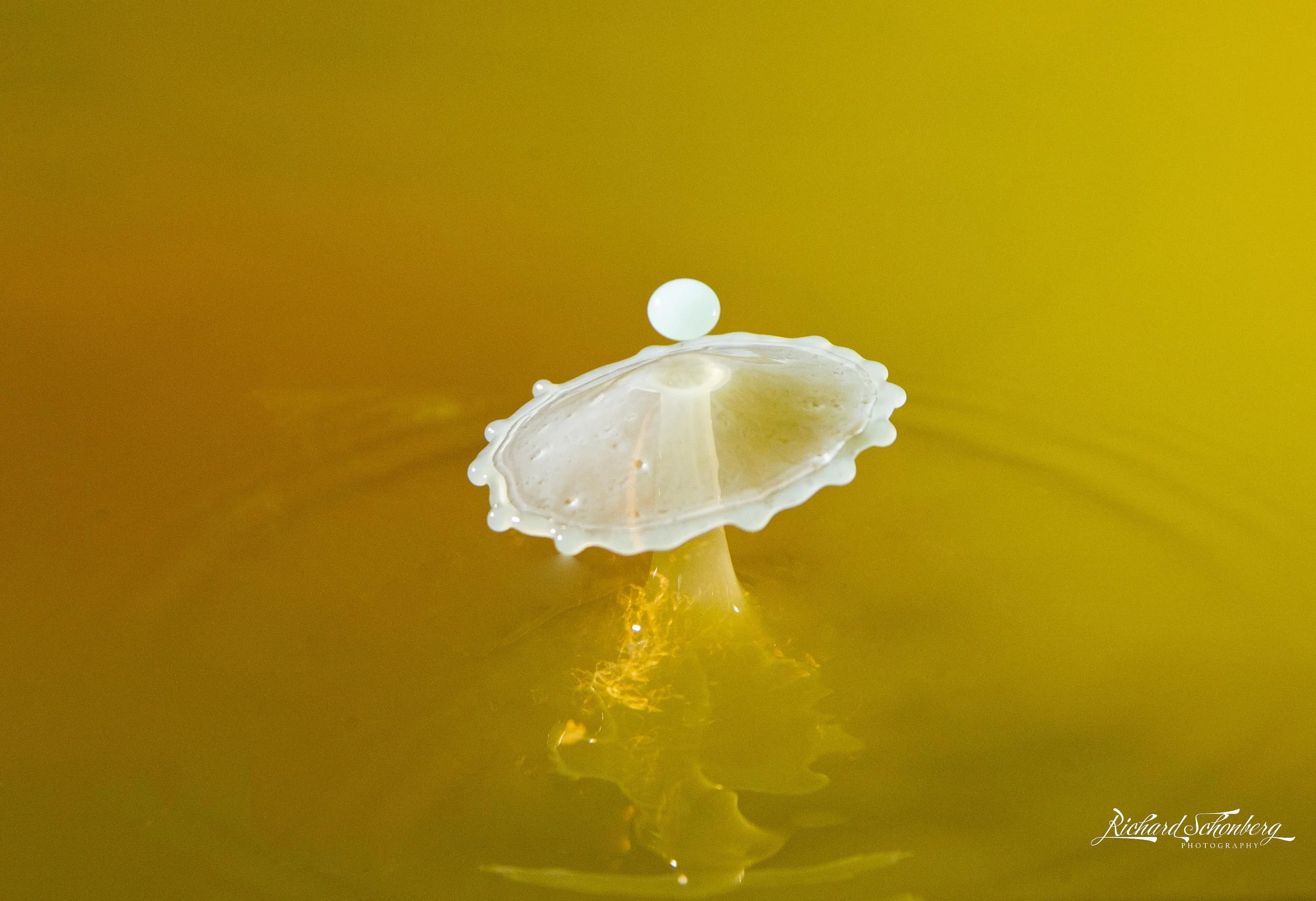 Yellow splash