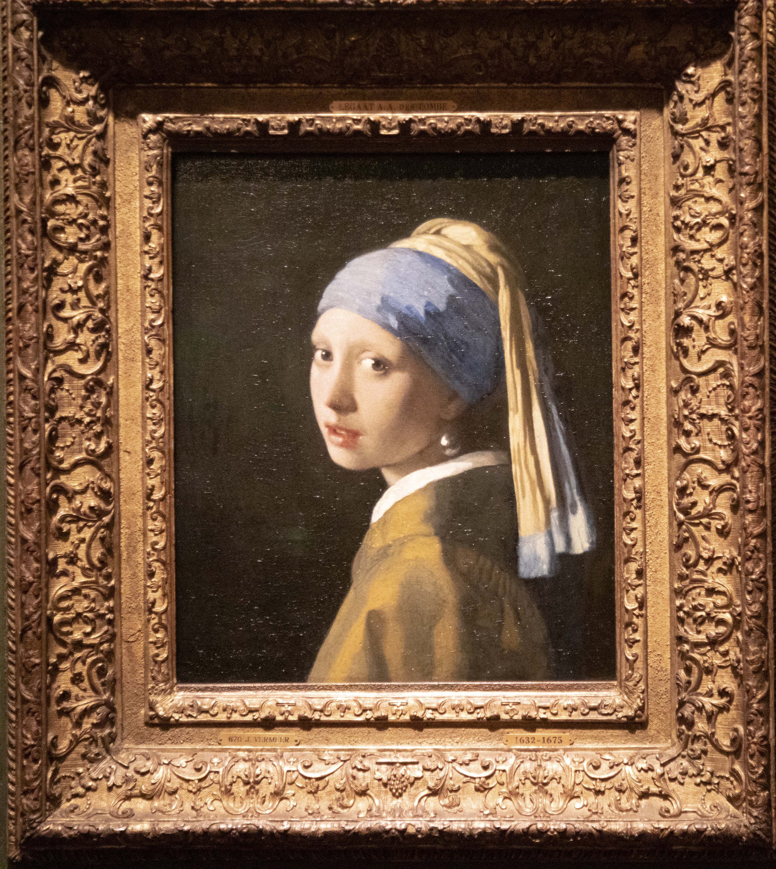 vermeer-5DM40171 copy.jpg
