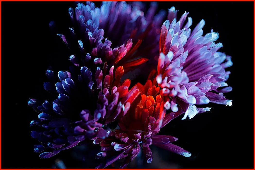 UV Foral Glow