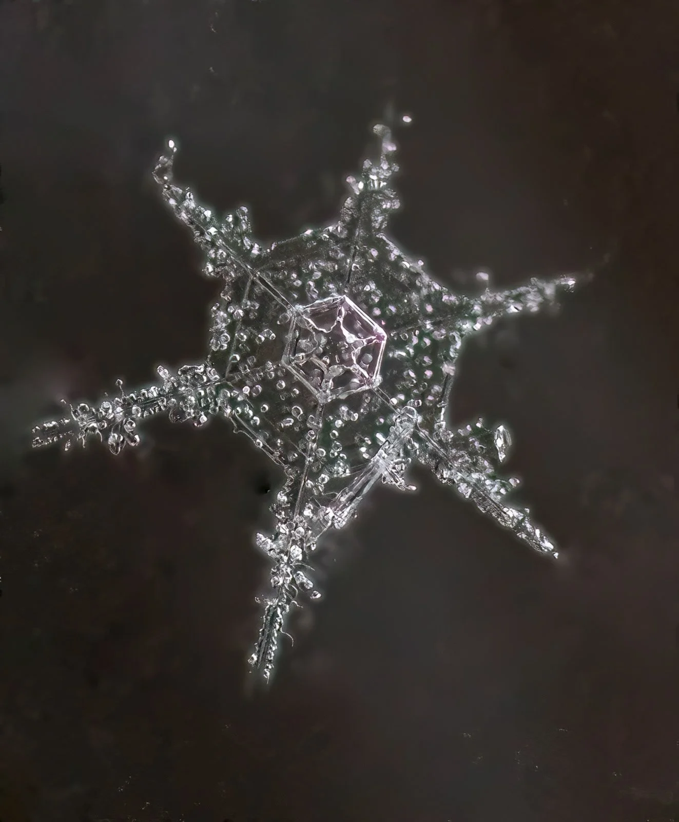 Rime on melting snowflake