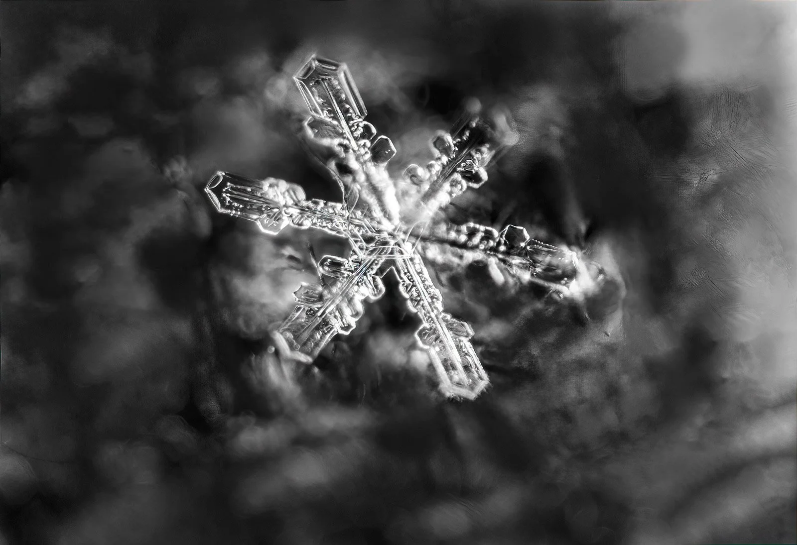 Winter marvel