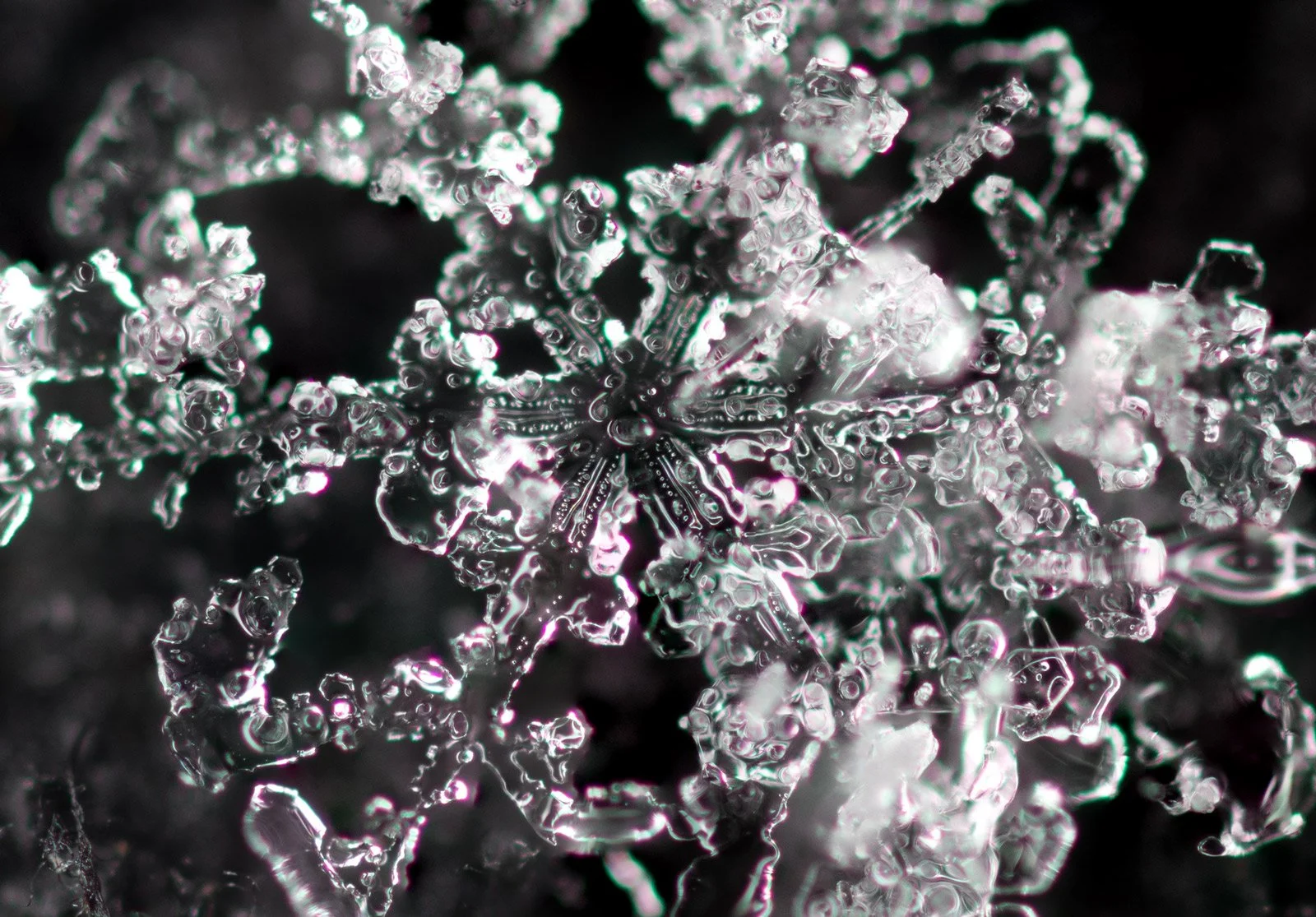 ice-flake4crop-1600.jpg