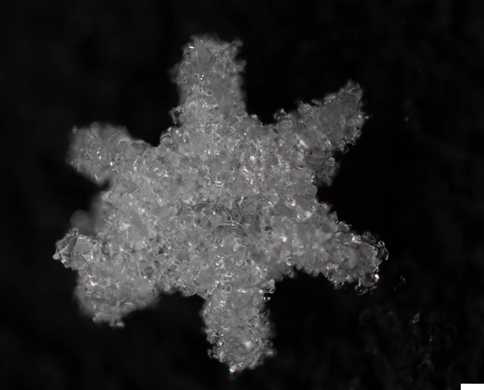 ice-flake7.jpg