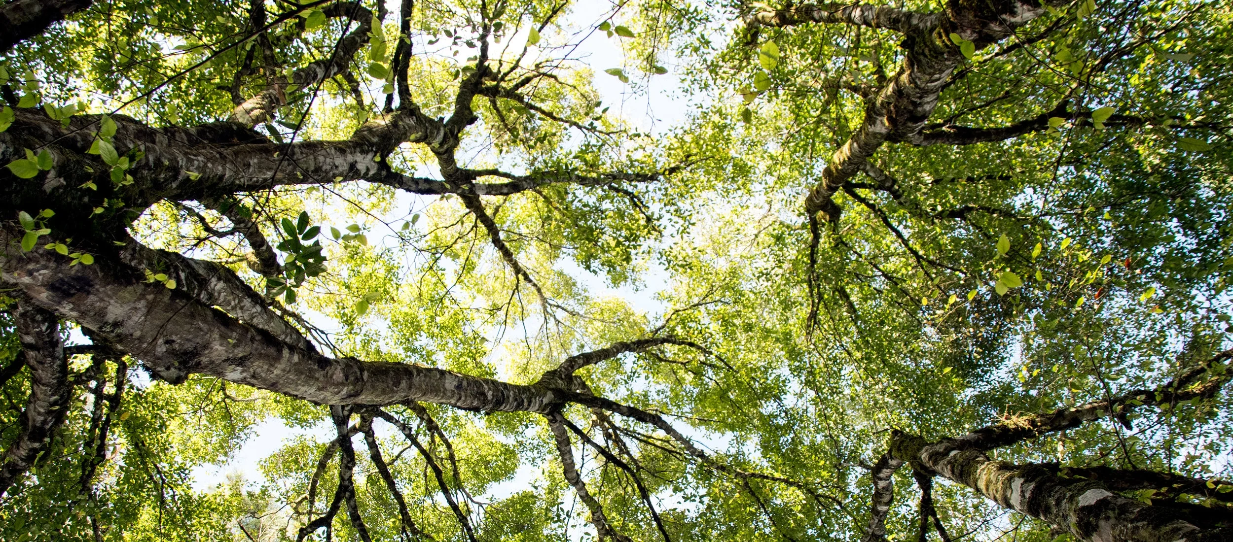 shutterstock_340211417.jpg