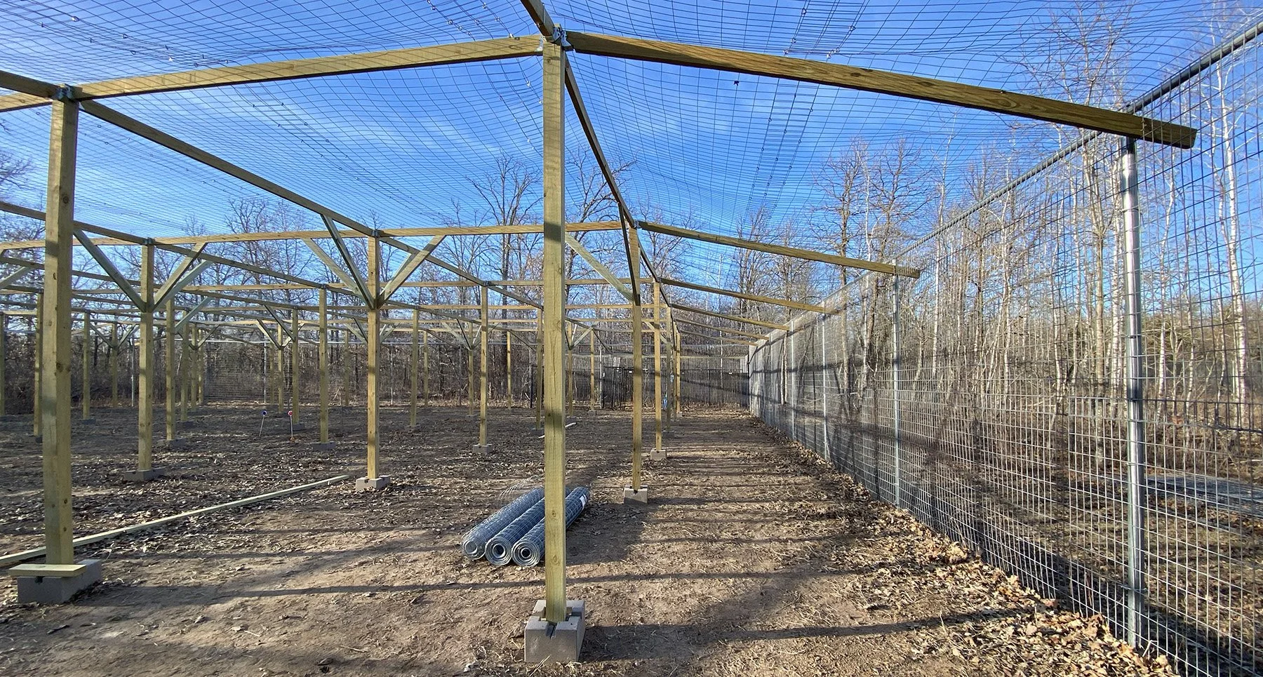 Fab 4 Fox Habitat Construction Updates