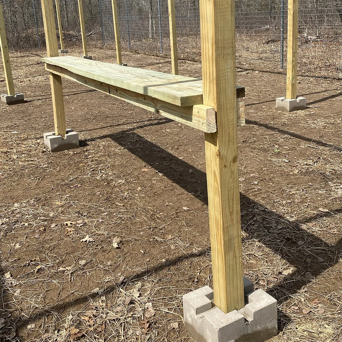 2 walking platform IMG_1298.jpg