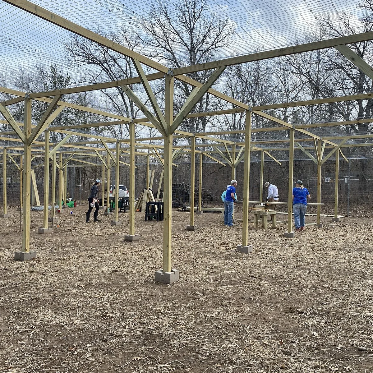 041226 volunteers building platforms IMG_1303.jpg