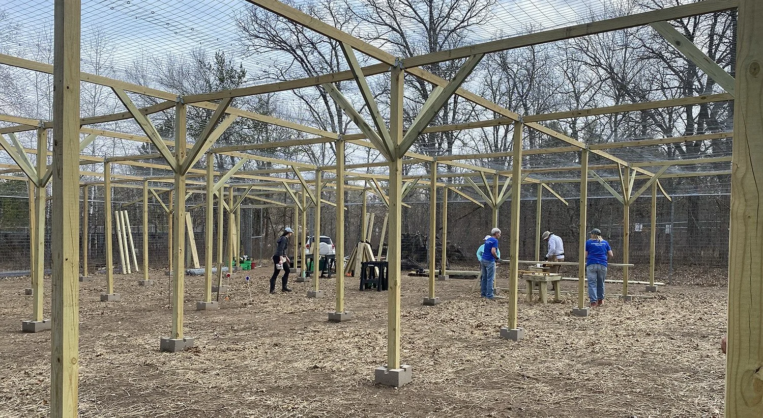 Fab 4 Fox Habitat Construction Updates