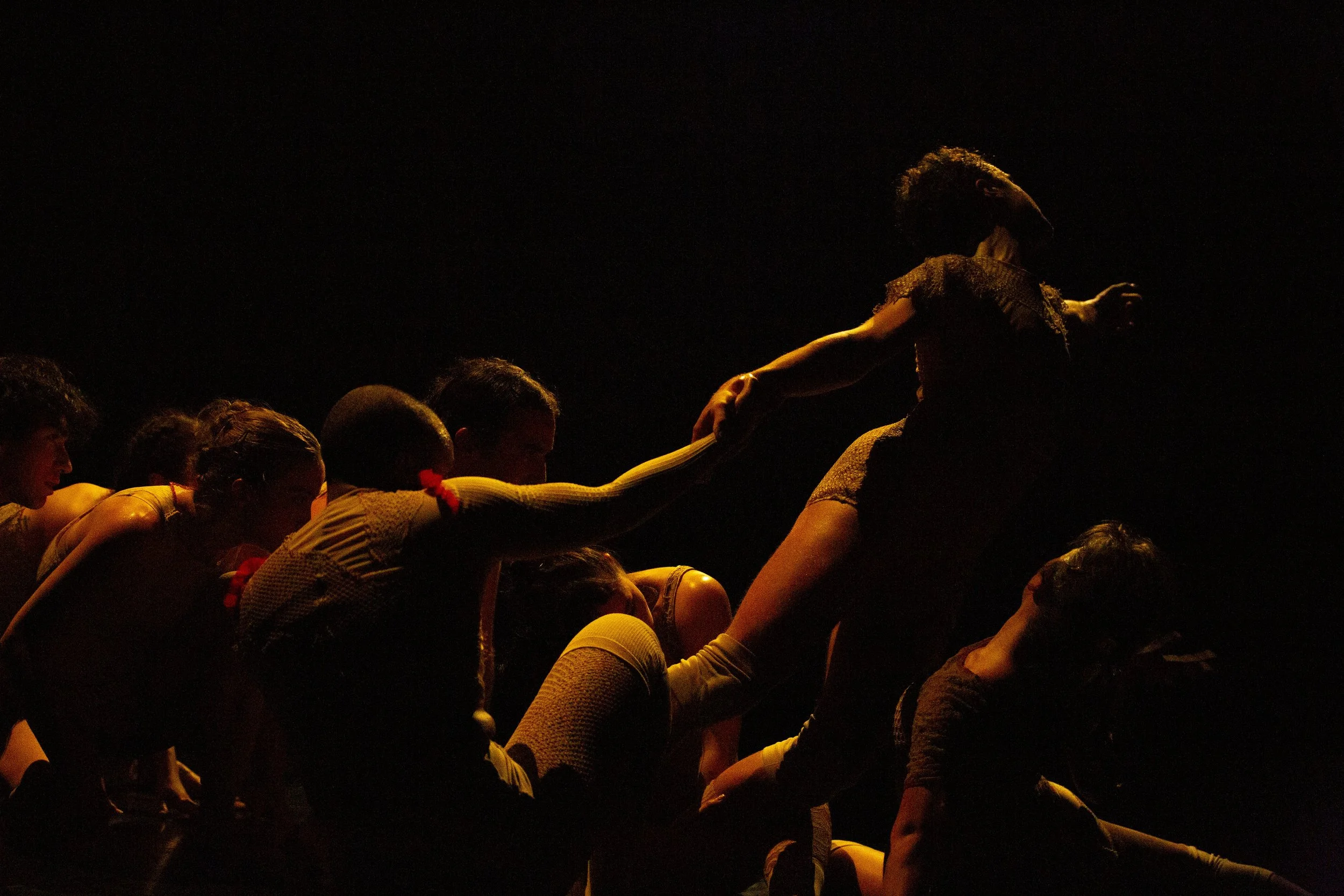 2025 WYSF DR-TEH-005.jpeg