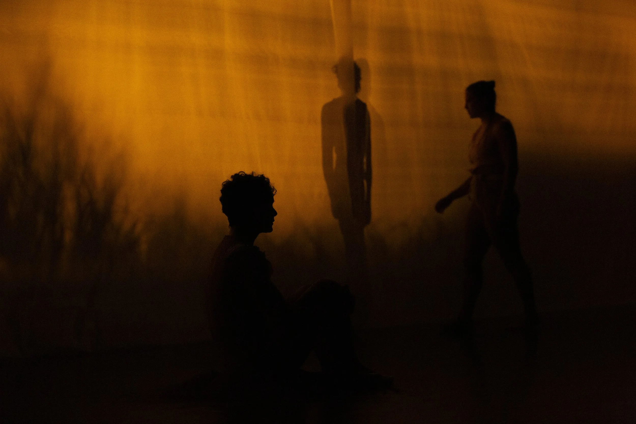 2025 WYSF DR-TEH-0014.jpeg