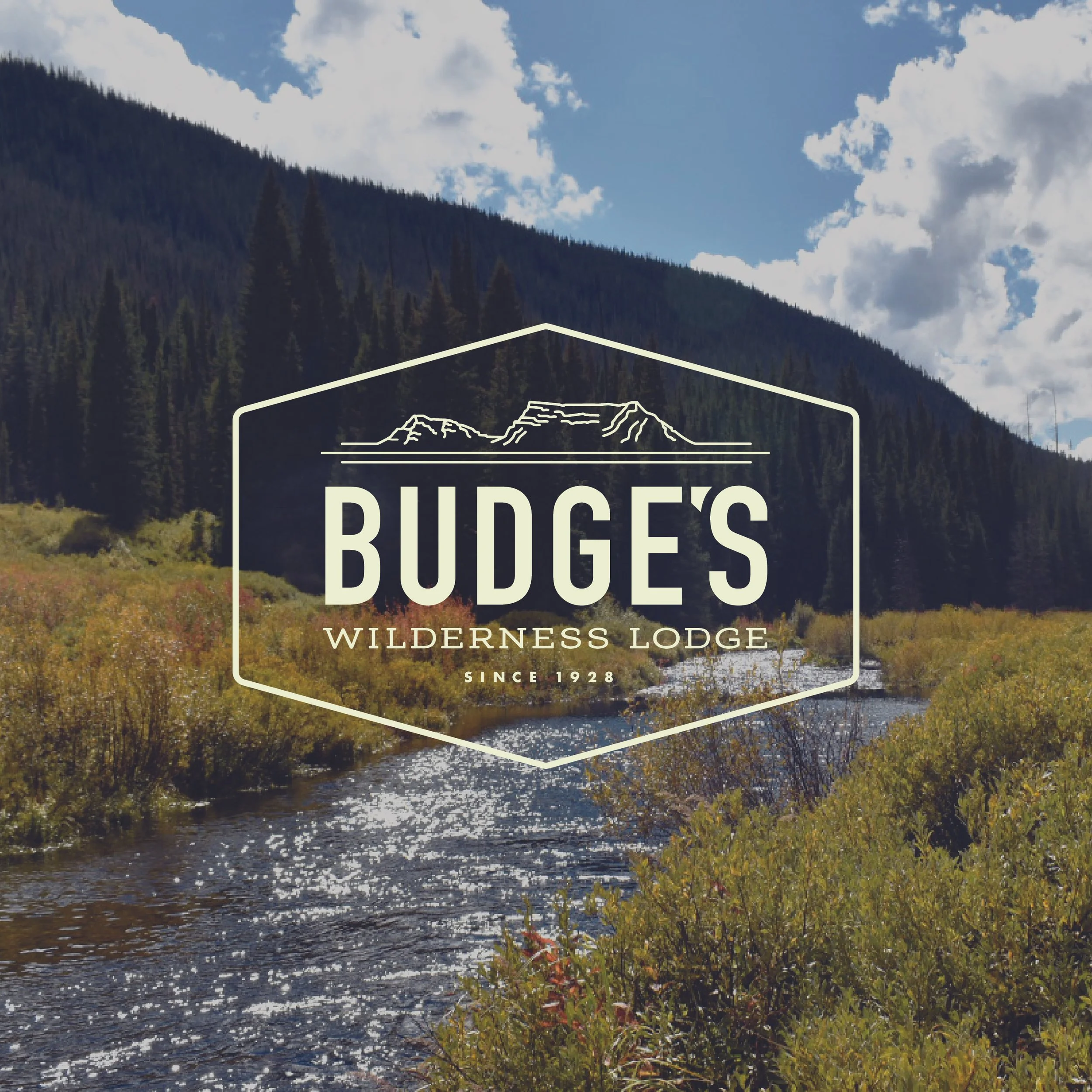 Budge's Cover.jpg