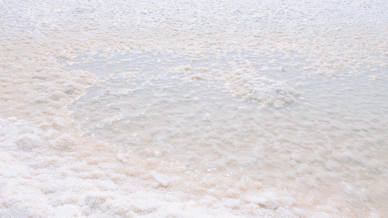 Salt