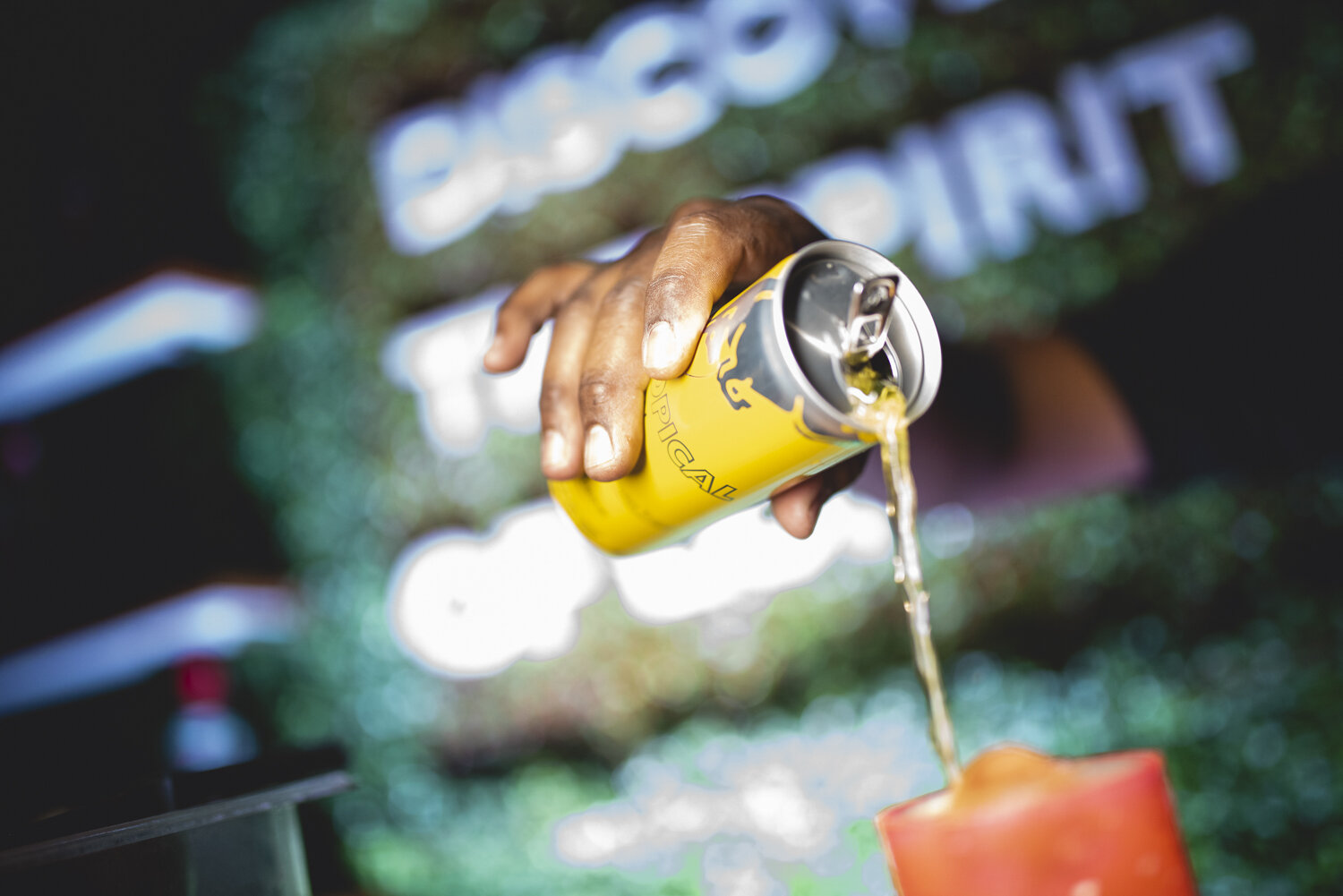 Portifolio Escolhas-62.JPG