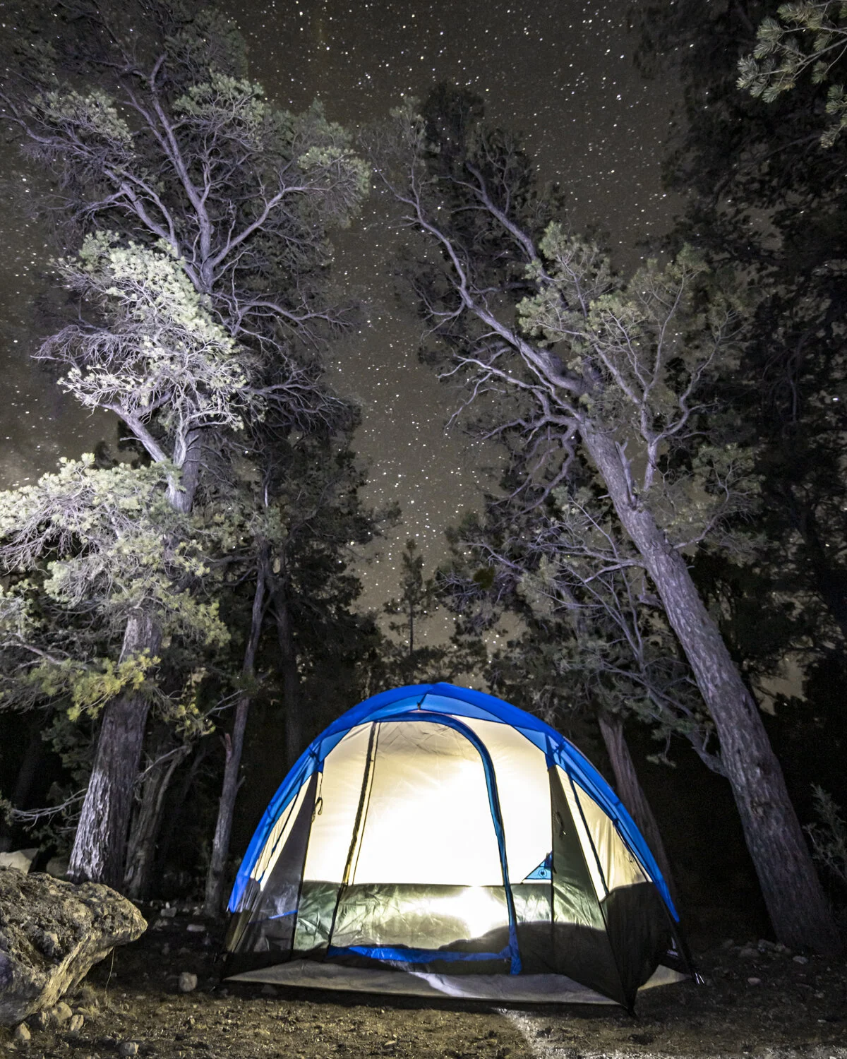 Acampamento Estrelado