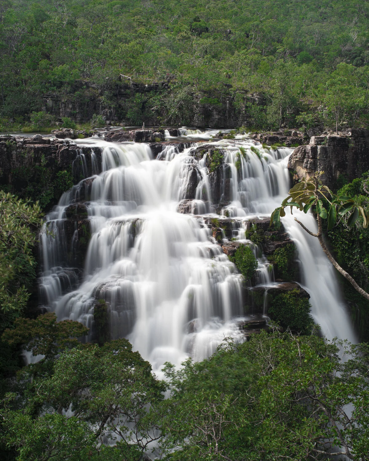 Chapada dos Veadeiros - Almecegas