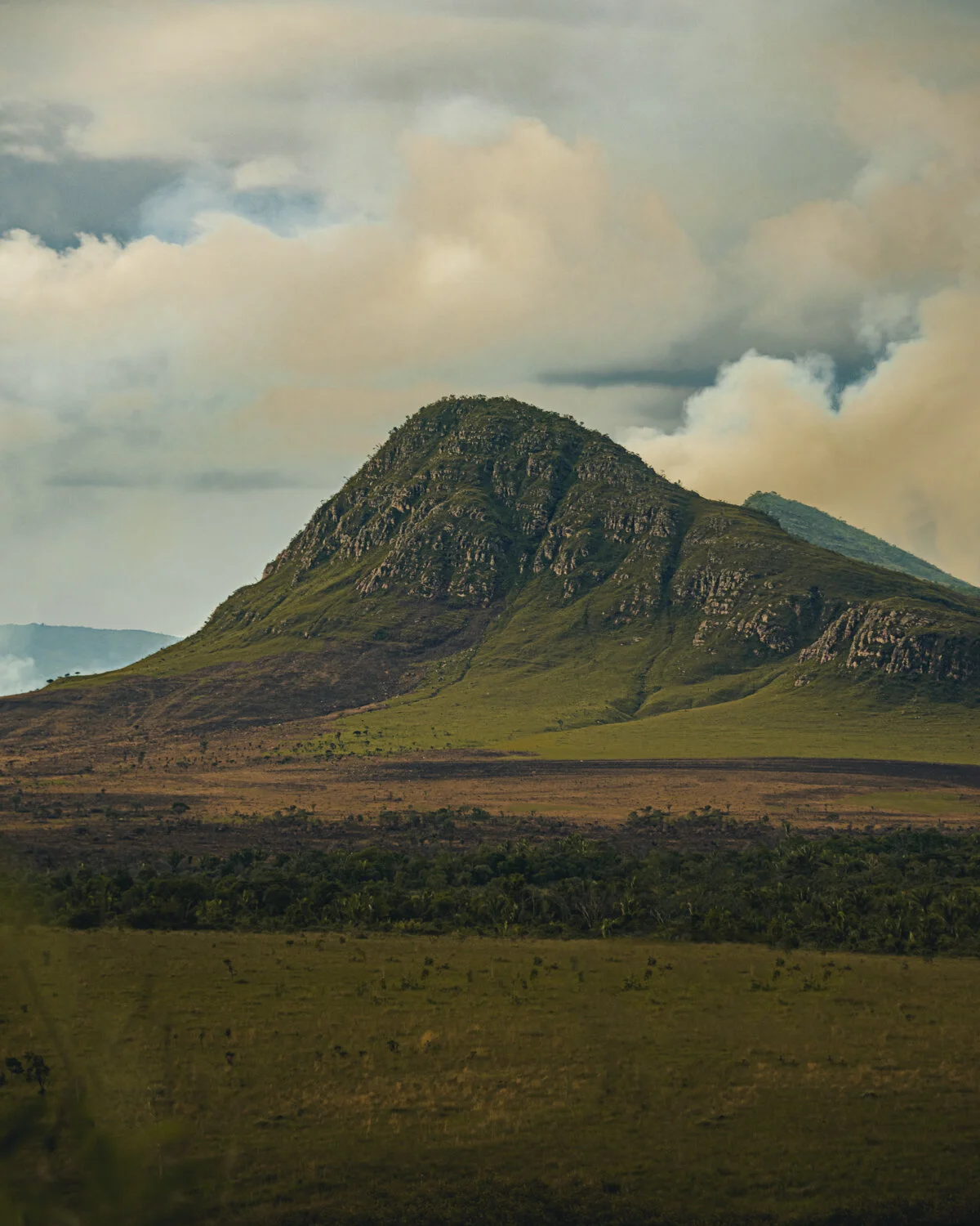 TERRA - Coleção ELEMENTOS