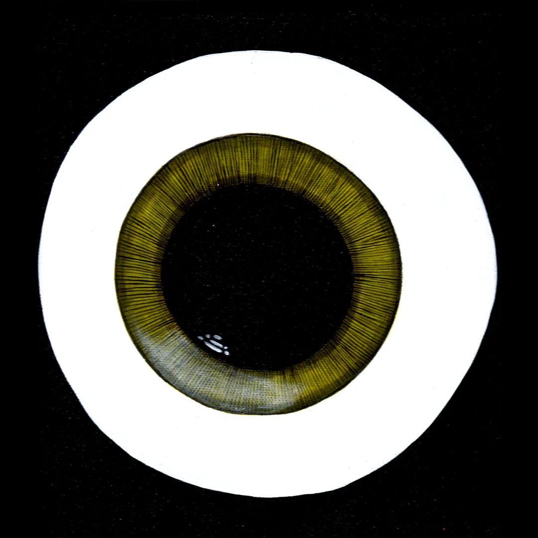EYECONS 2012