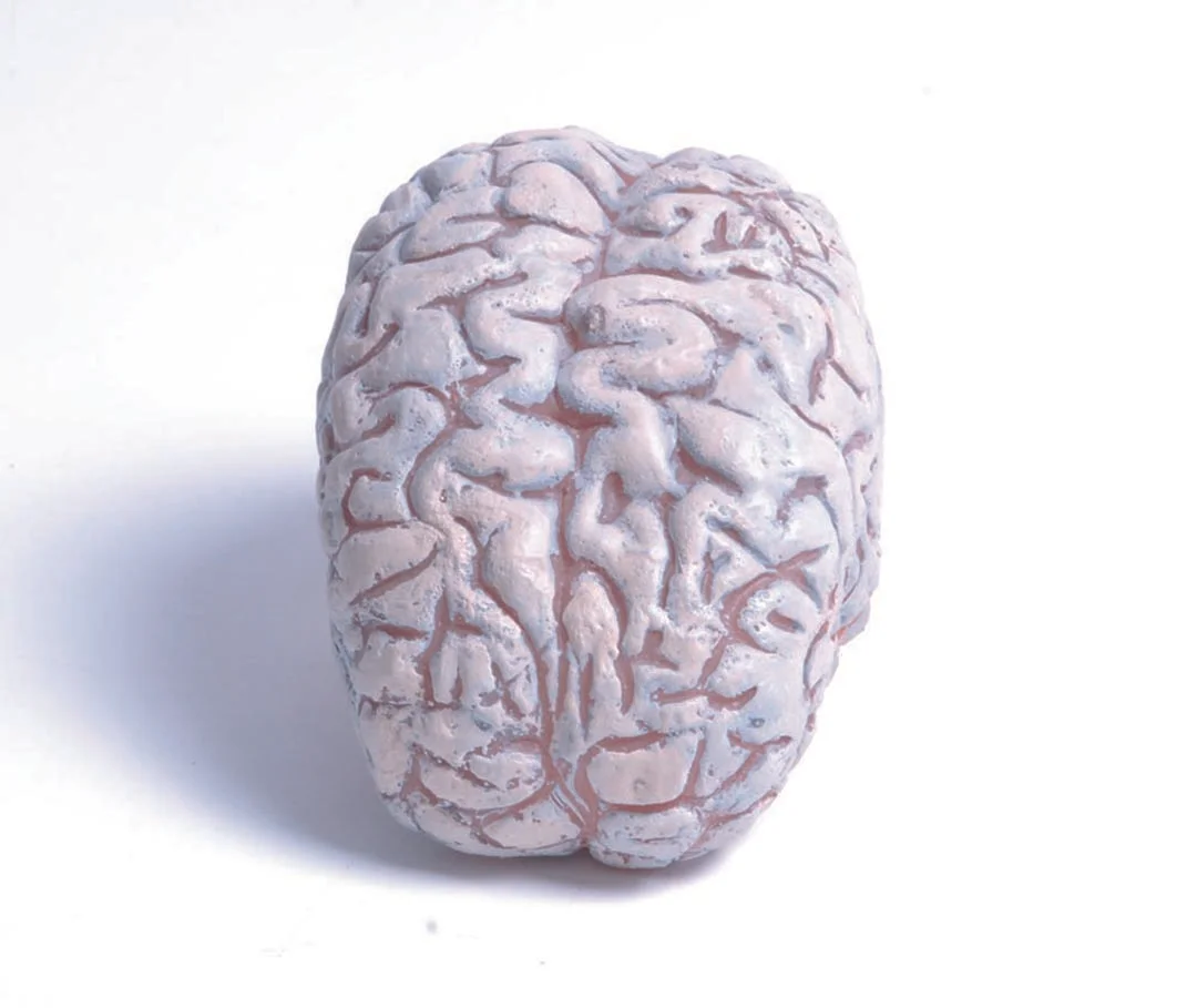 Grey Matter 2009