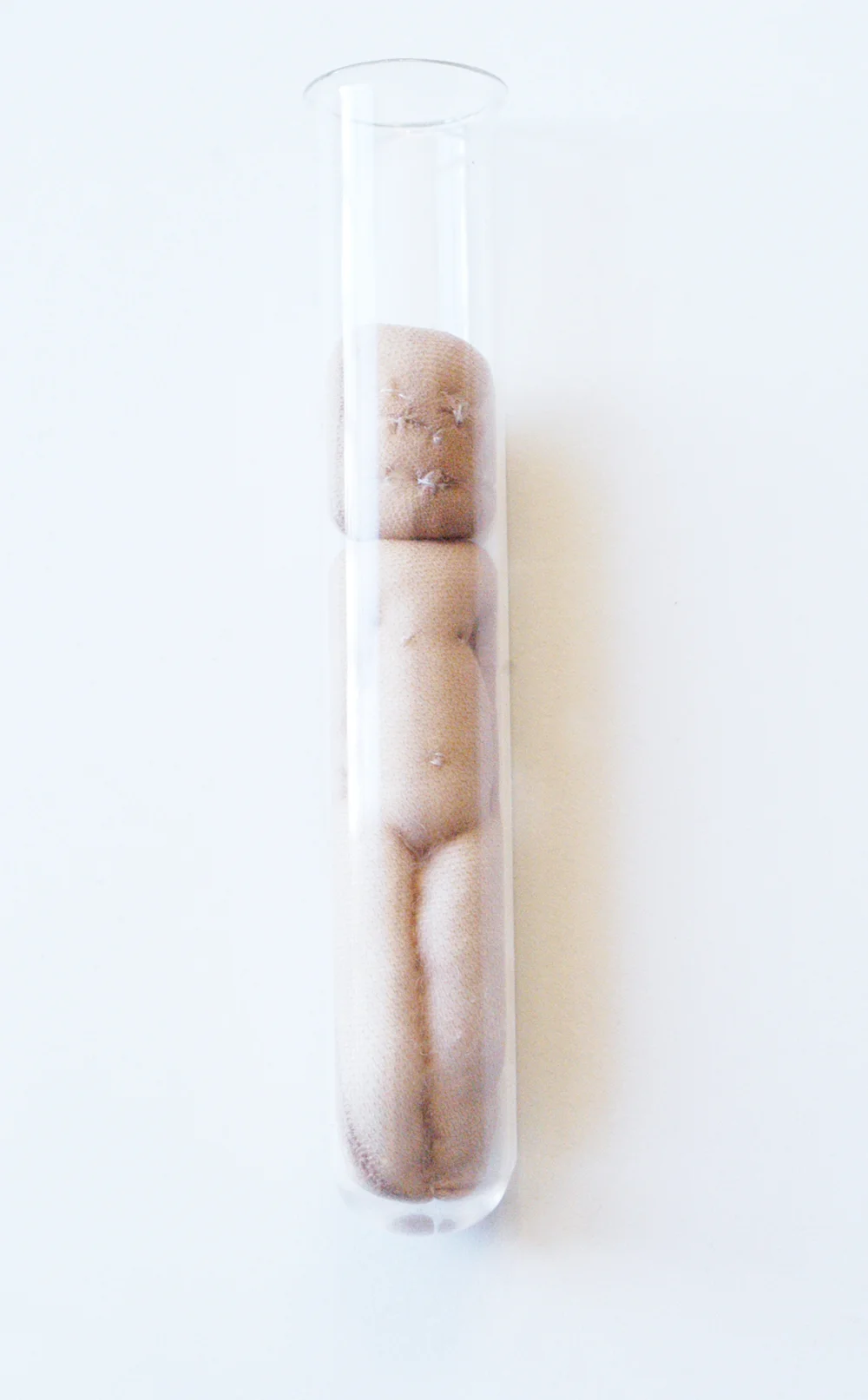 Test Tube Baby 2012