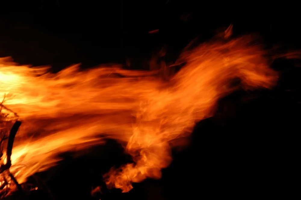 Firehorse 2014