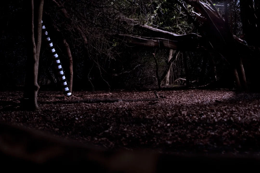 If you go down to the woods today you won't come back with you're eyes