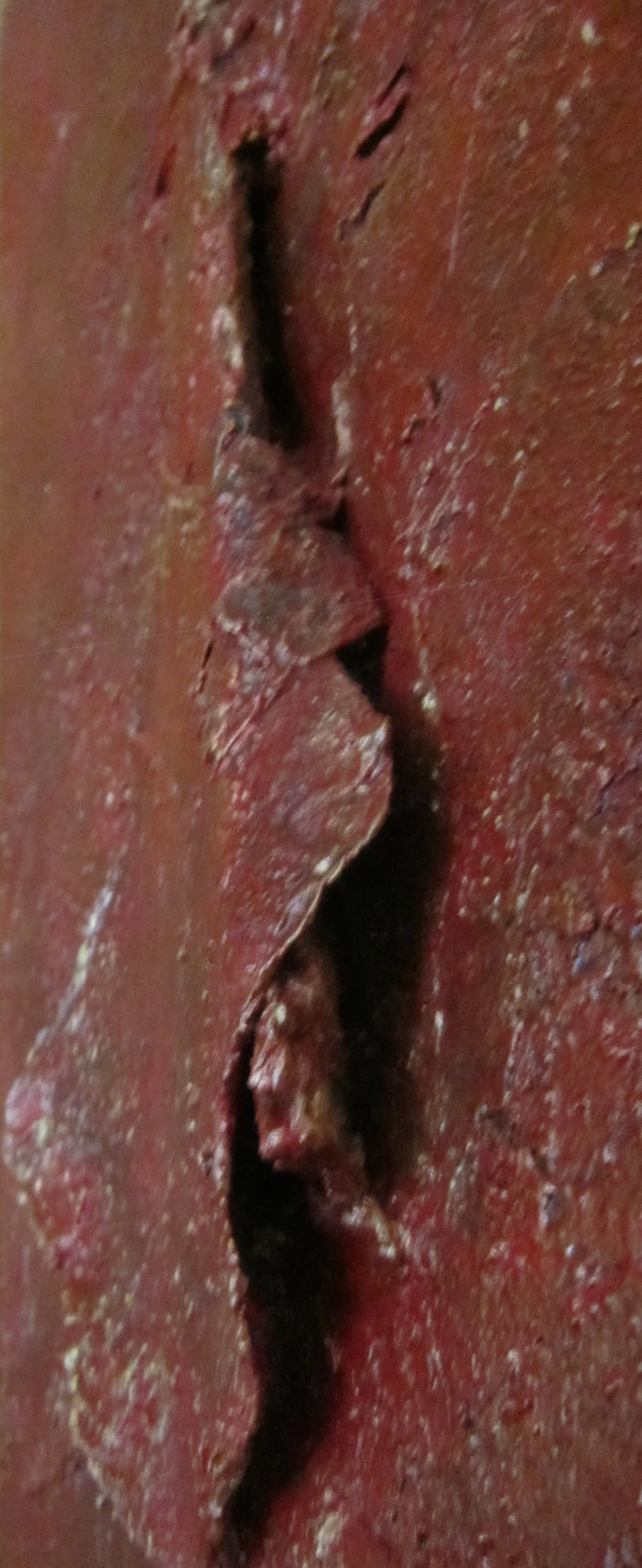 IMG_1487.jpg