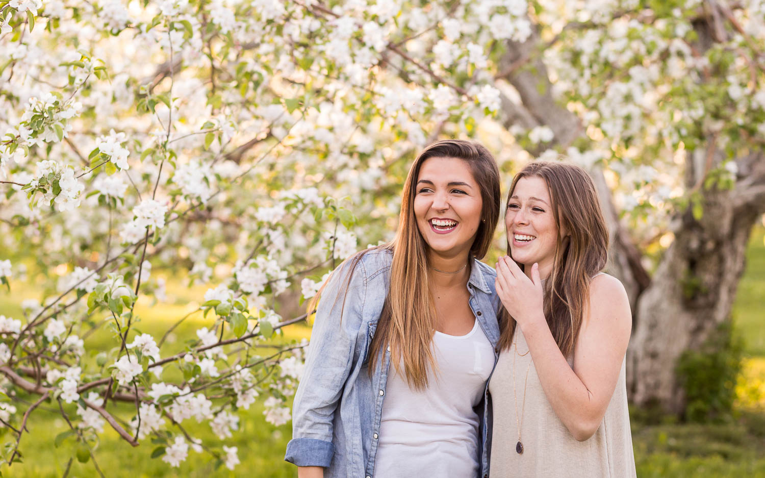 Moncton senior grad  Photographer~ Tara Geldart-8.jpg