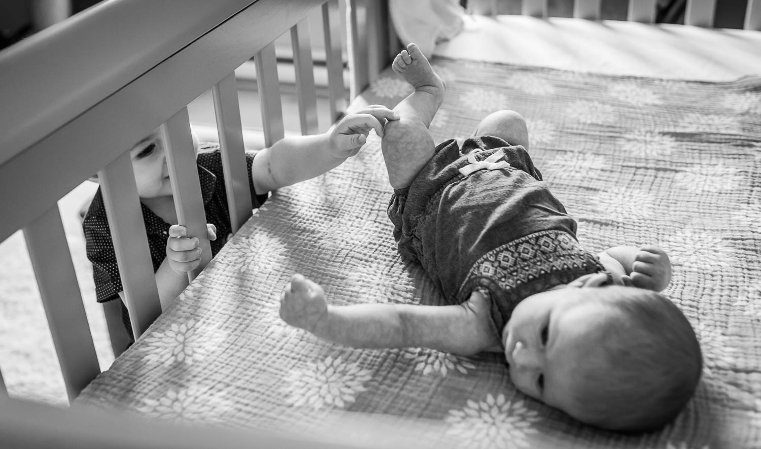 Moncton Newborn Photographer