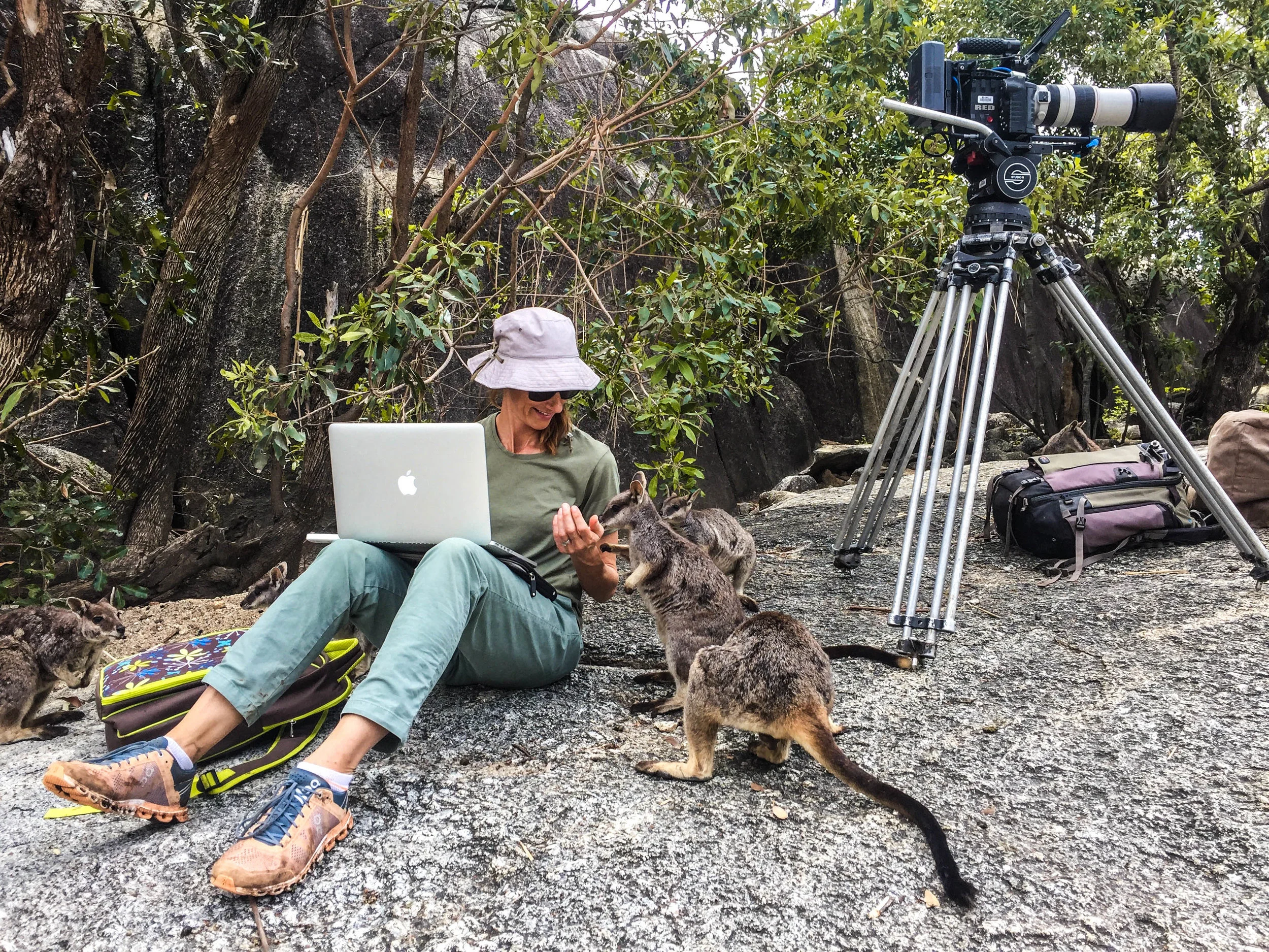 Tosca Looby with rock wallaby.jpg