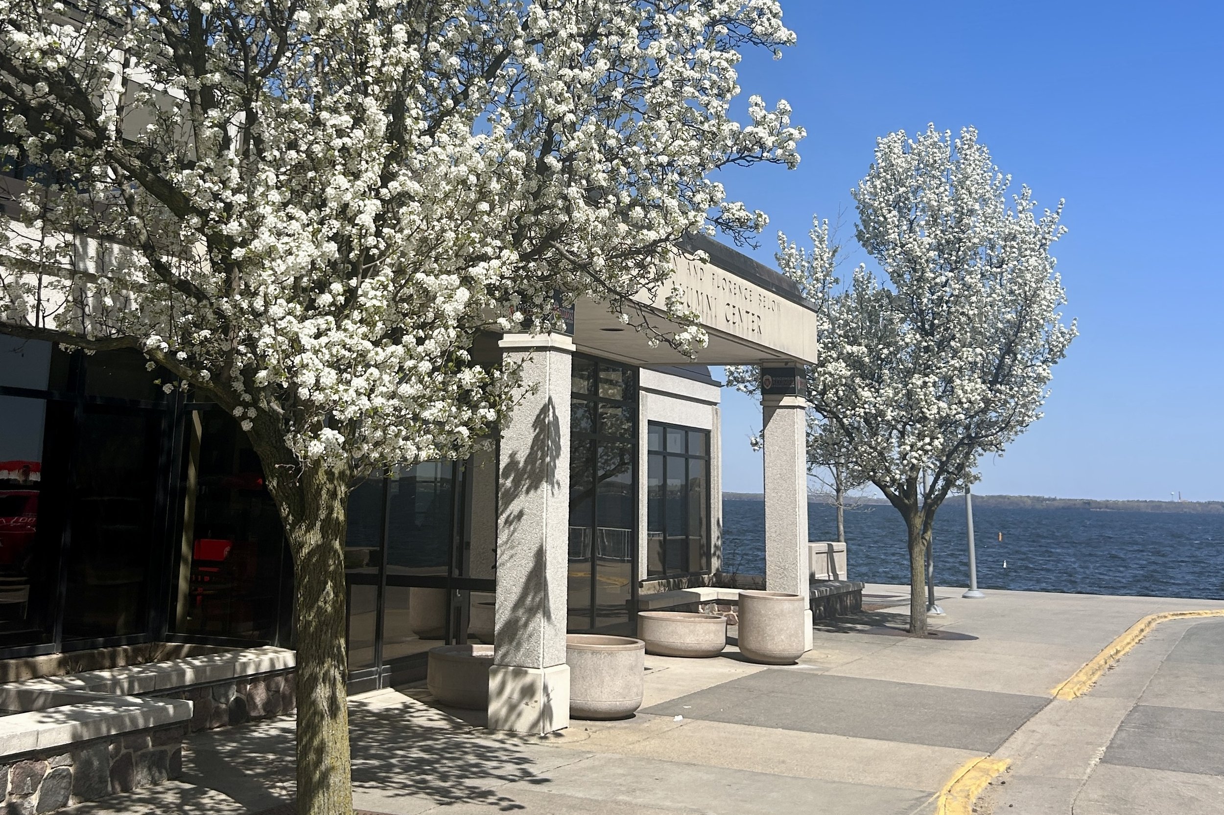 Below alumni center with flower blossom trees around it